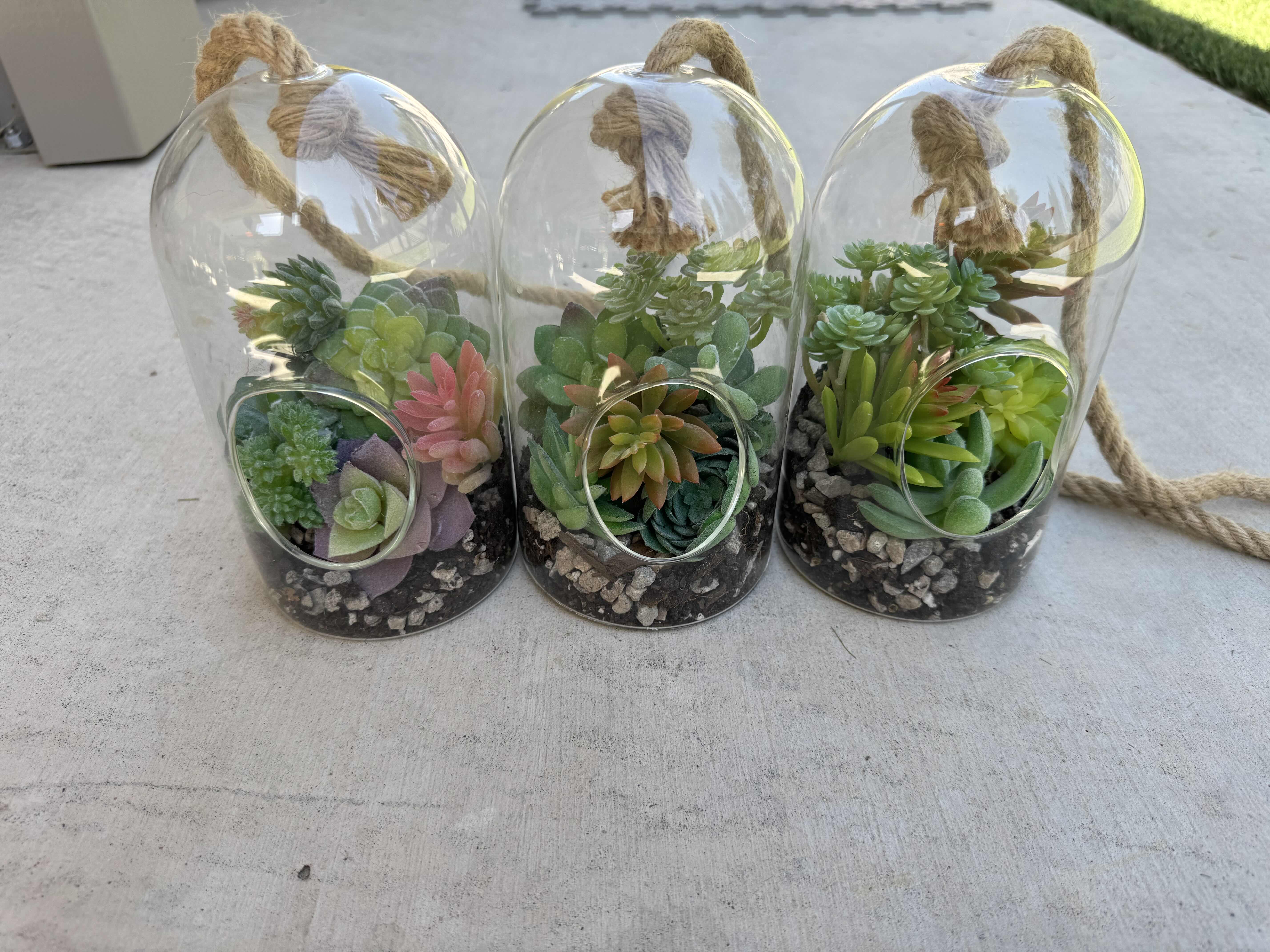 Photo 2 of 6- FAUX SUCCULENTS, GLASS DOME TERRARIUM, DECORATIVE OUTDOOR/INDOOR HANGING PLANTER

D4” X H7”