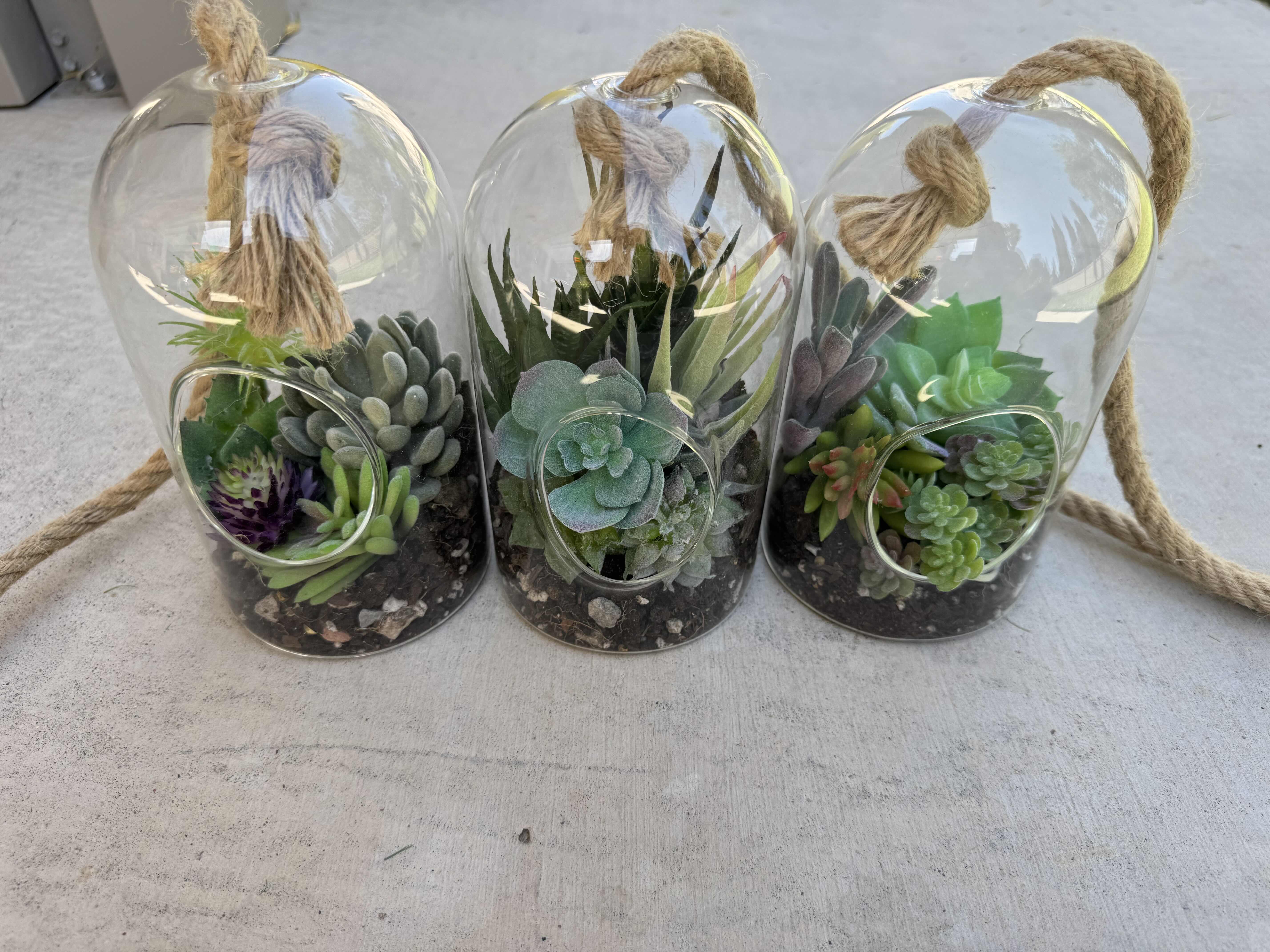 Photo 3 of 6- FAUX SUCCULENTS, GLASS DOME TERRARIUM, DECORATIVE OUTDOOR/INDOOR HANGING PLANTER

D4” X H7”