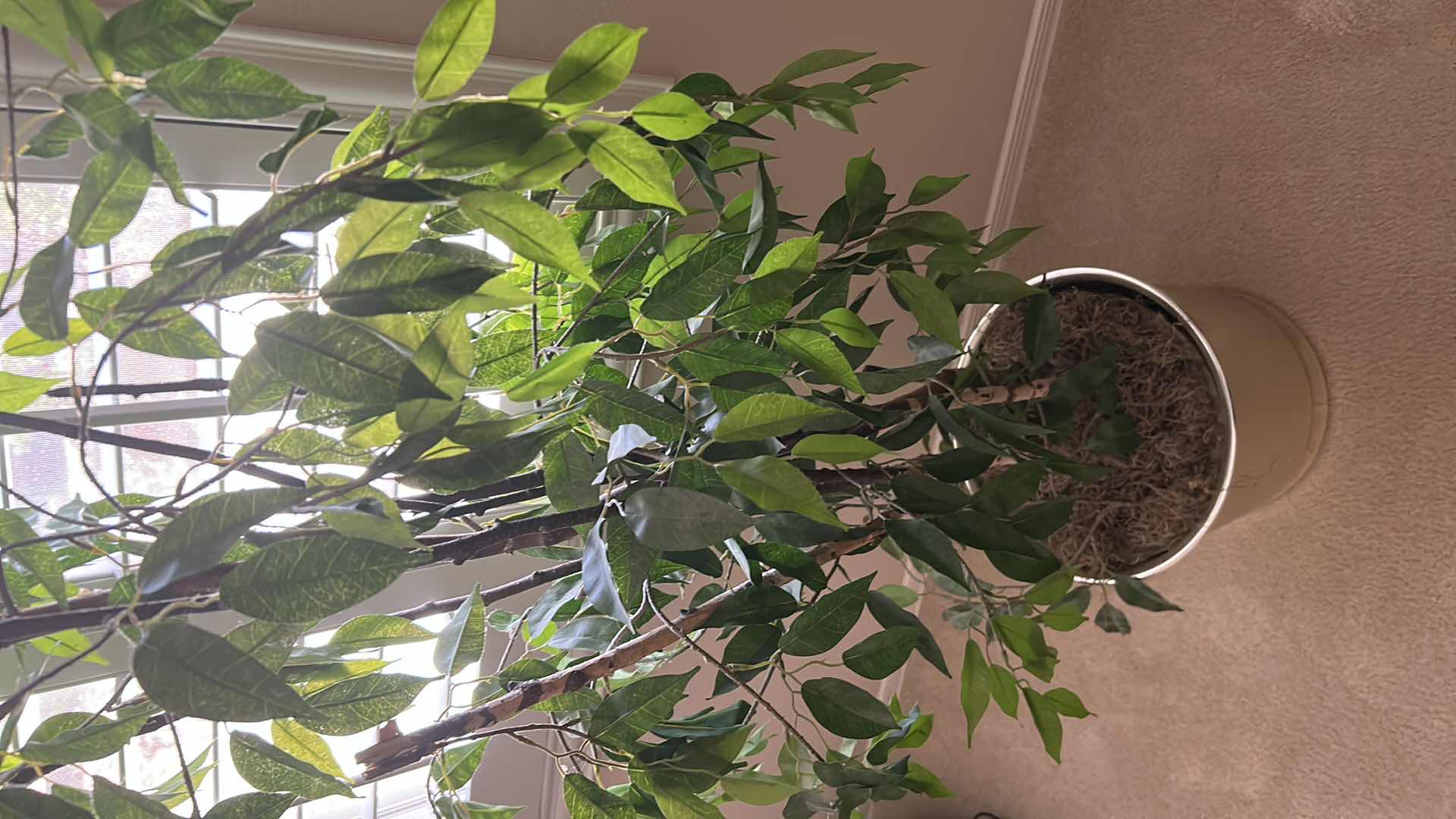 Photo 1 of 5FT FAUX PLANT IN POT