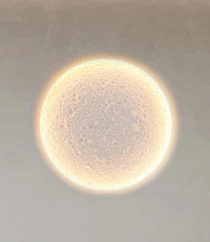 Photo 1 of NIB - LUNA WHITE PLASTER MION SHAPE LED CEILING LIGHT 8“ x 8“ LL-1034-MF