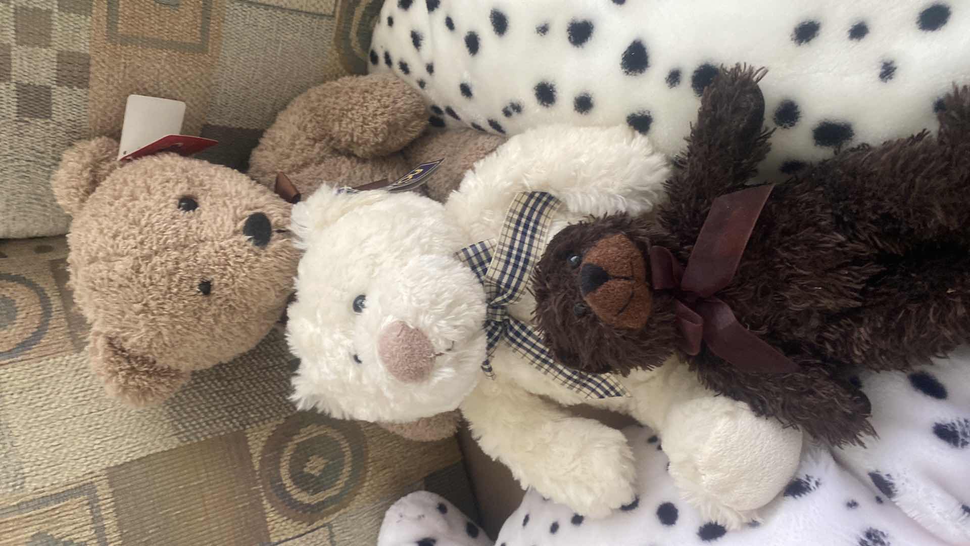 Photo 1 of 5 - STUFFED ANIMALS