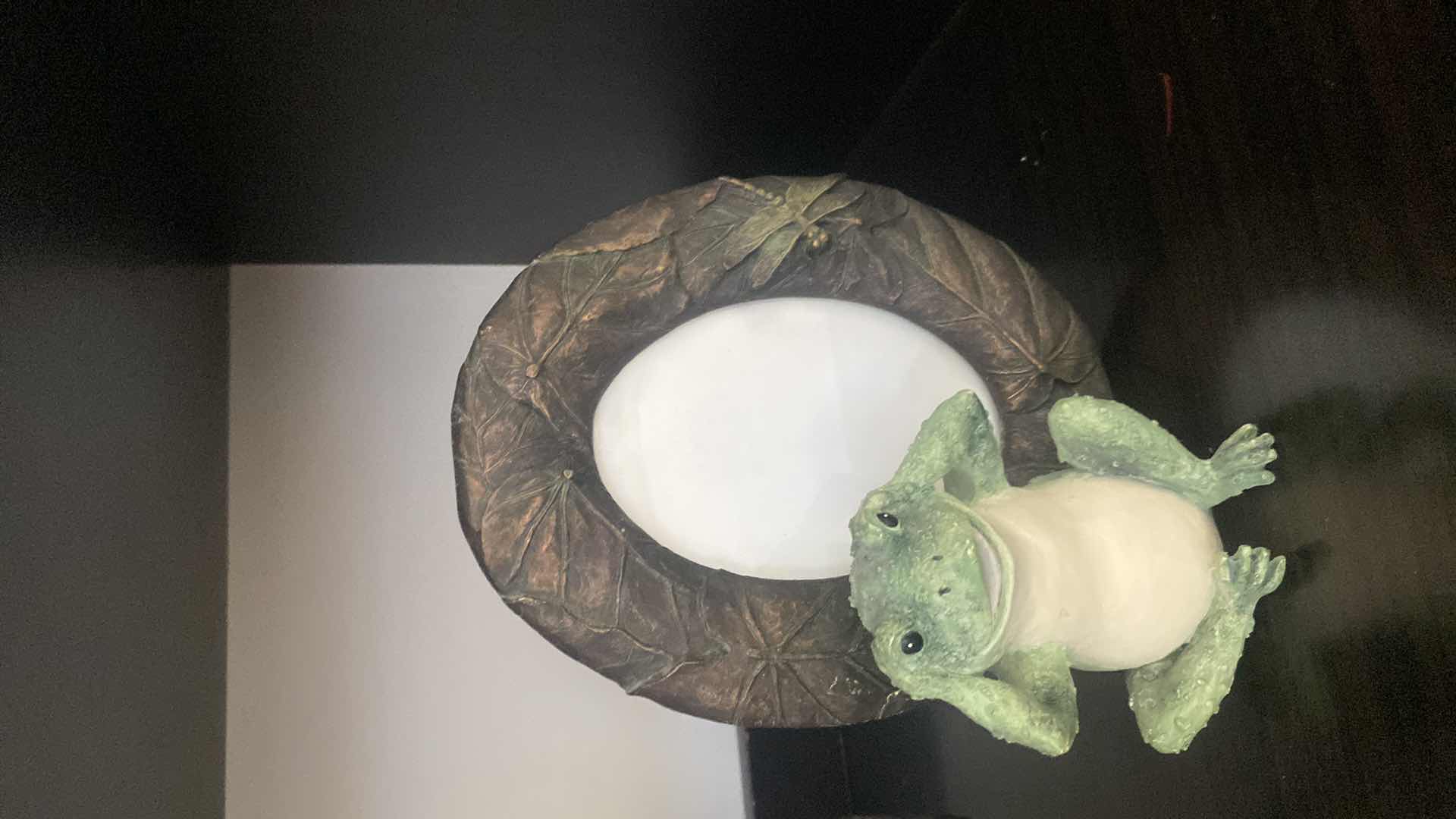 Photo 4 of 3 - FROG PICTURE FRAMES 6” x 8”