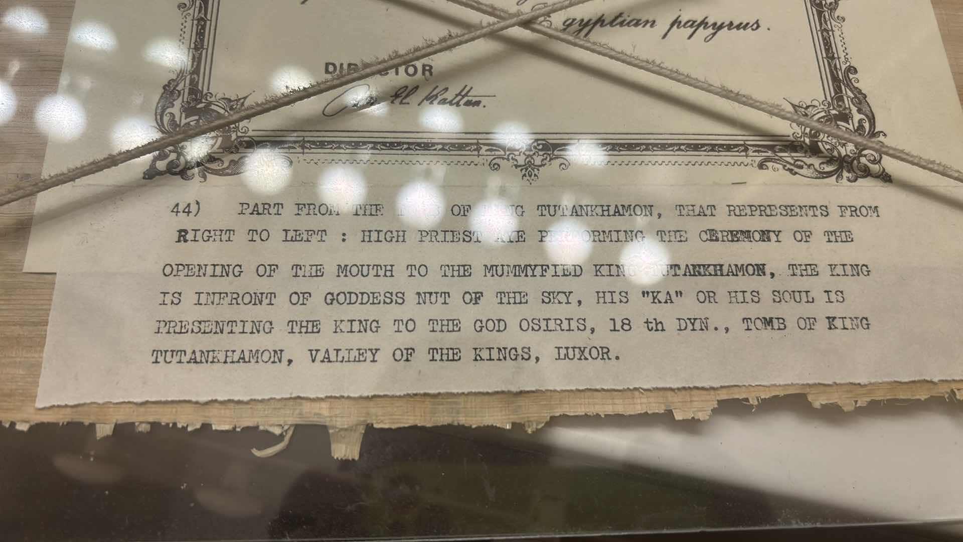 Photo 1 of FRAMED, PAINTED PAPYRUS PIECE FROM THE TOMB OF TUTANKHAMON EGYPTIAN ARTWORK WITH COA, THE PIECE MESSURES  15 1/2” x H7 1/2”