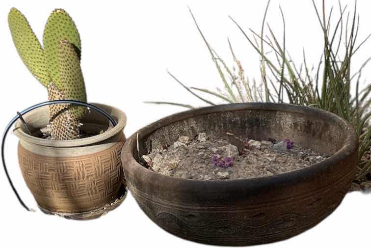 Photo 1 of 2 OUTDOOR POTS, ONE WITH LIVE CACTUS H14”