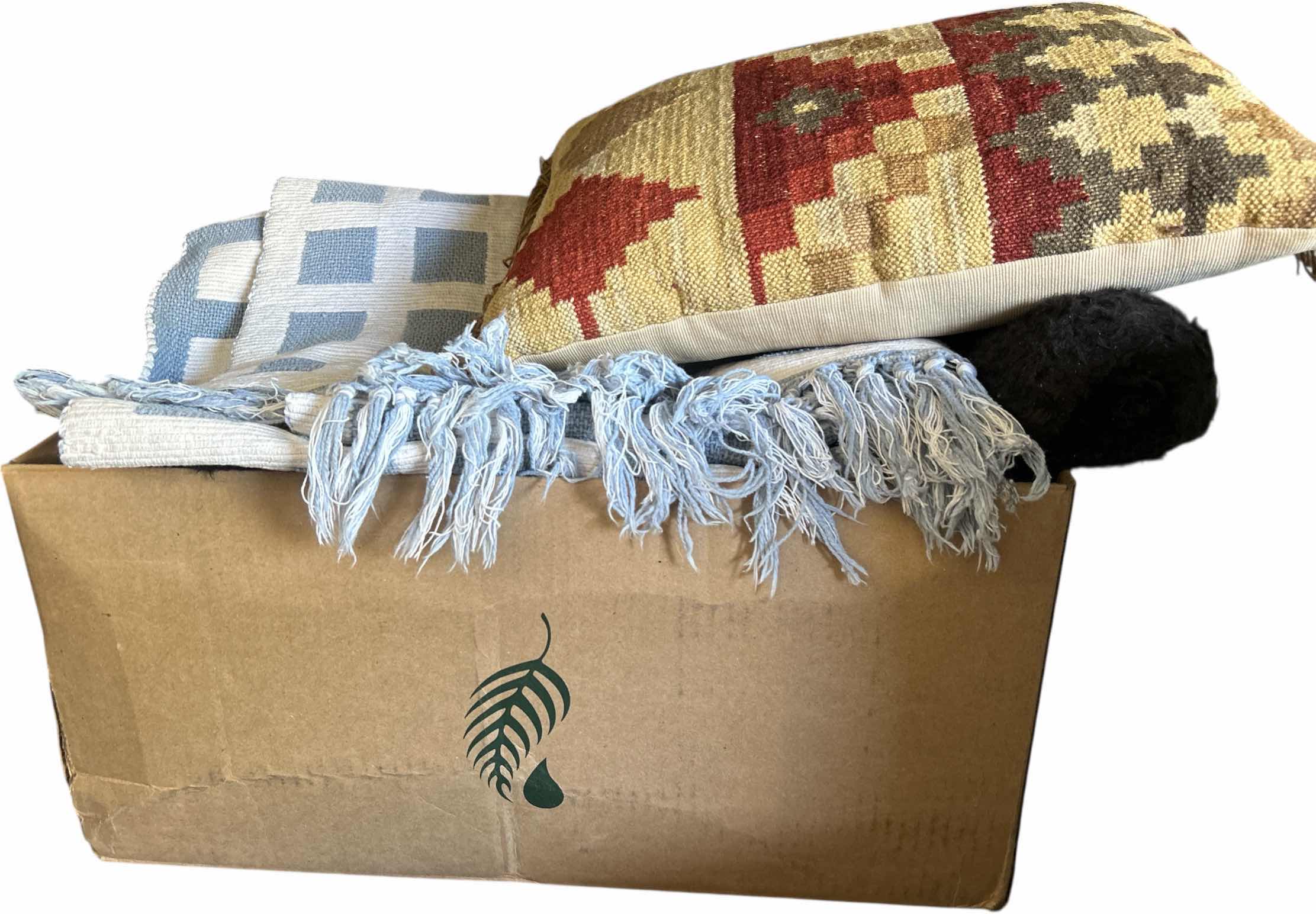 Photo 1 of HOMEGOODS - THROW RUGS, PILLOW