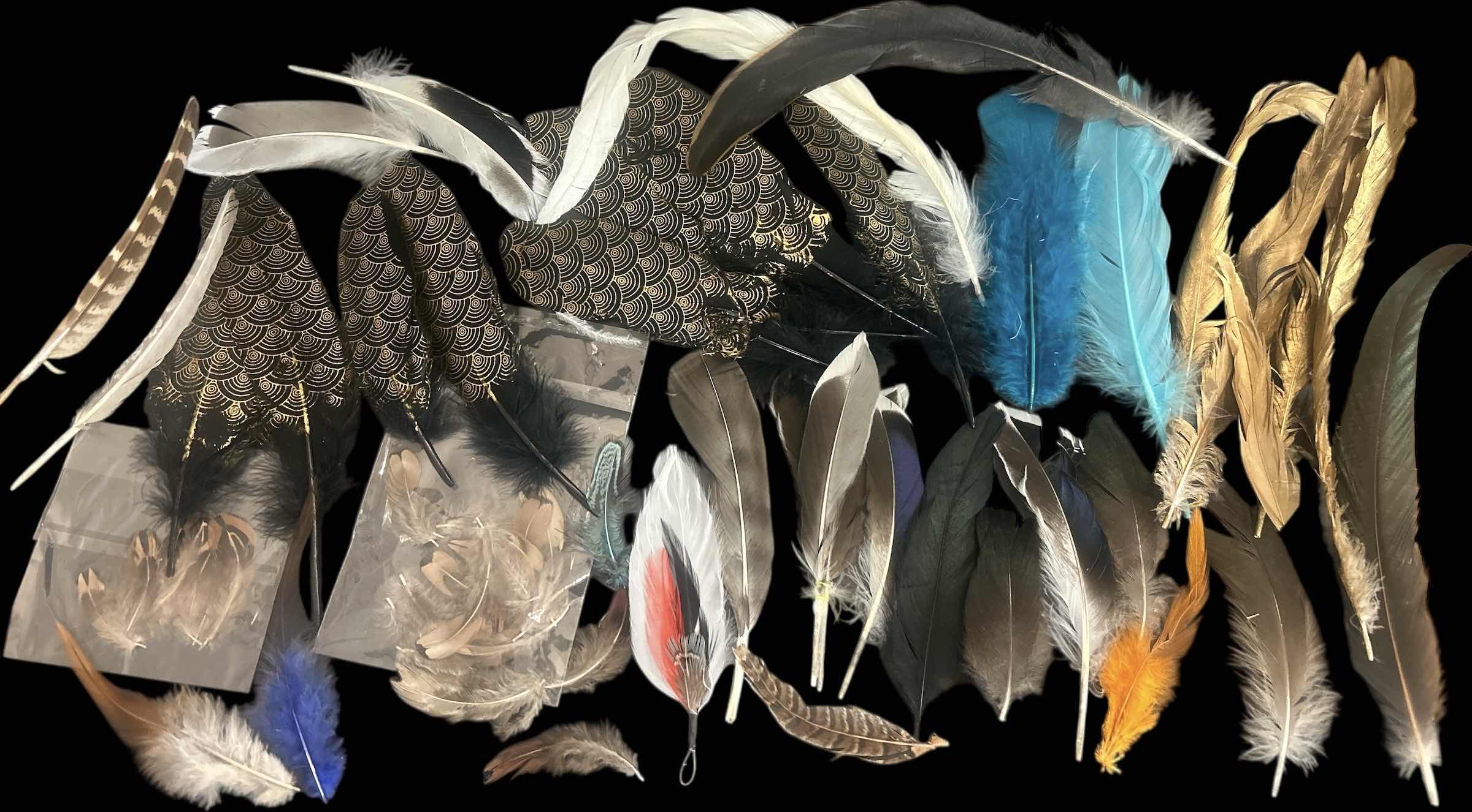 Photo 1 of FEATHER ASSORTMENT