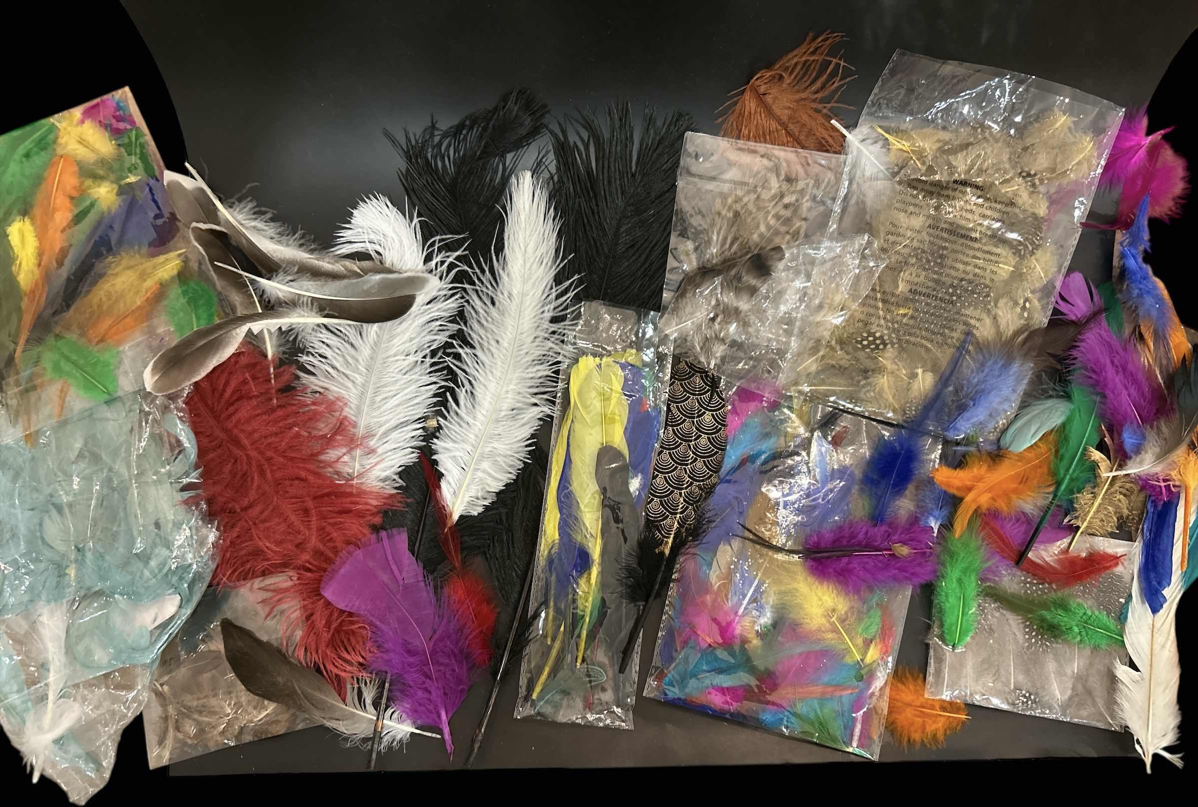 Photo 1 of FEATHER ASSORTMENT