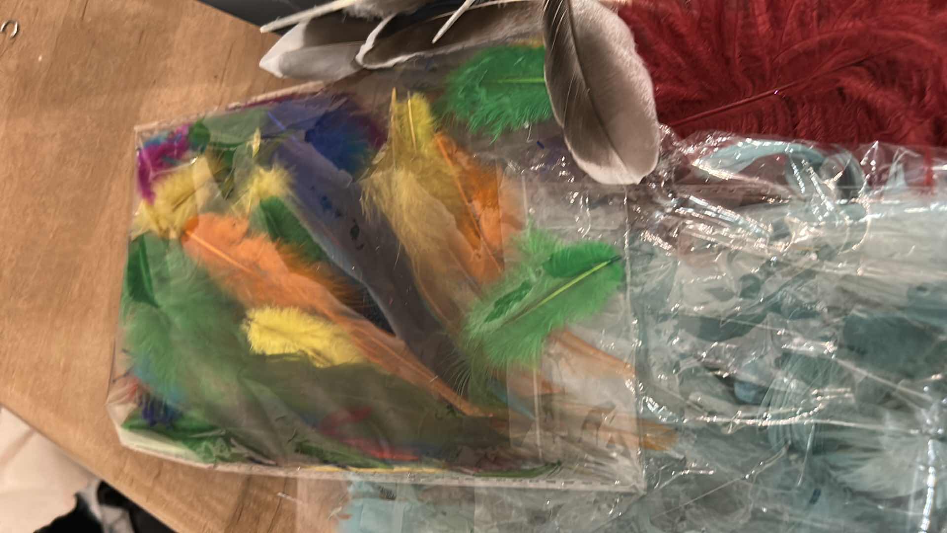 Photo 1 of FEATHER ASSORTMENT