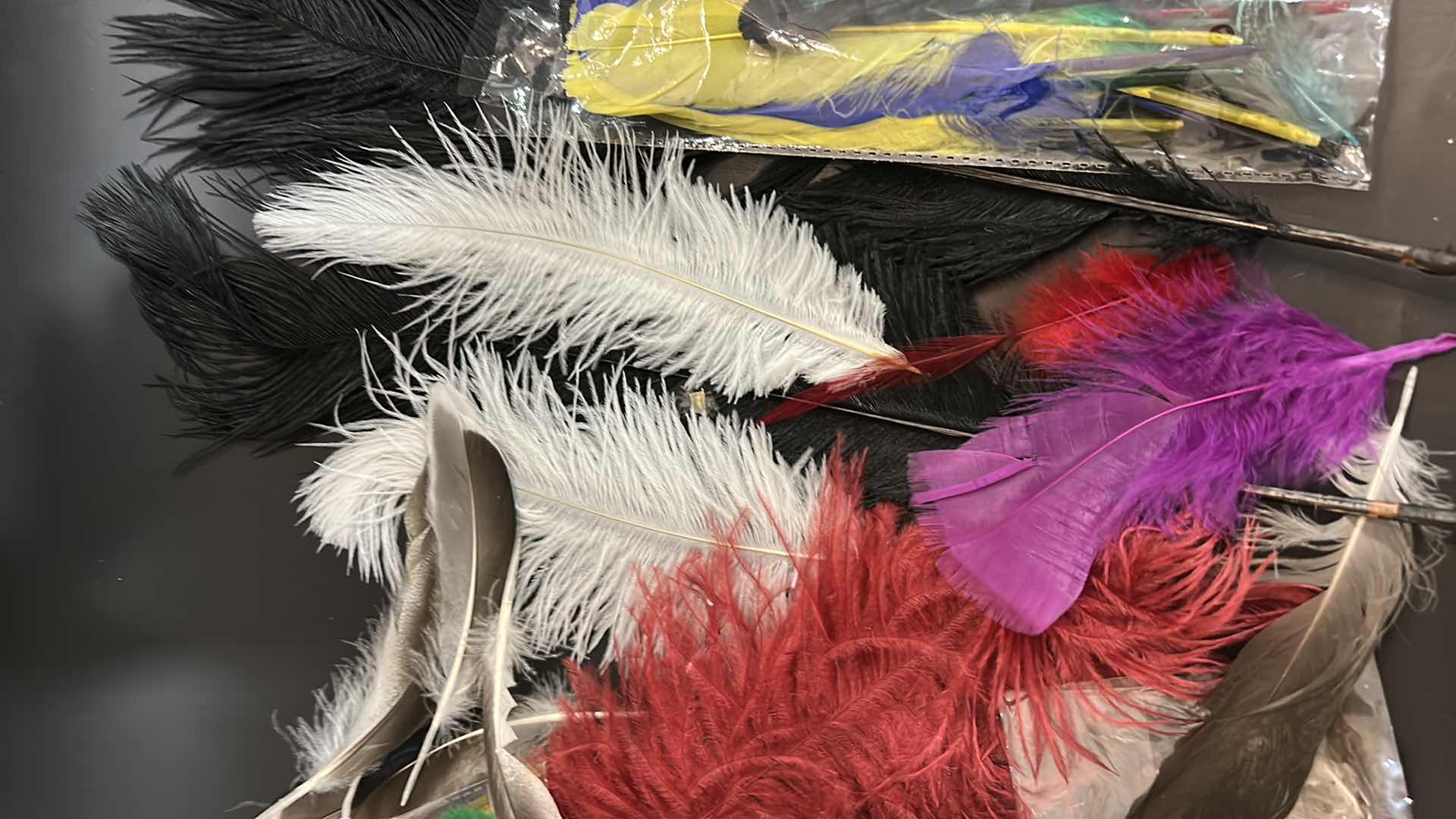 Photo 1 of FEATHER ASSORTMENT