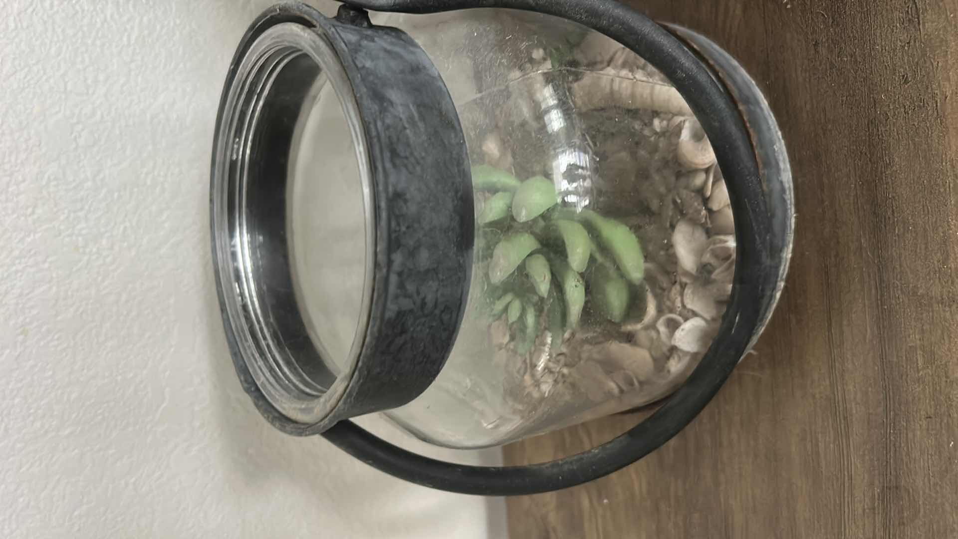 Photo 1 of 2 FAUX PLANTS 7”