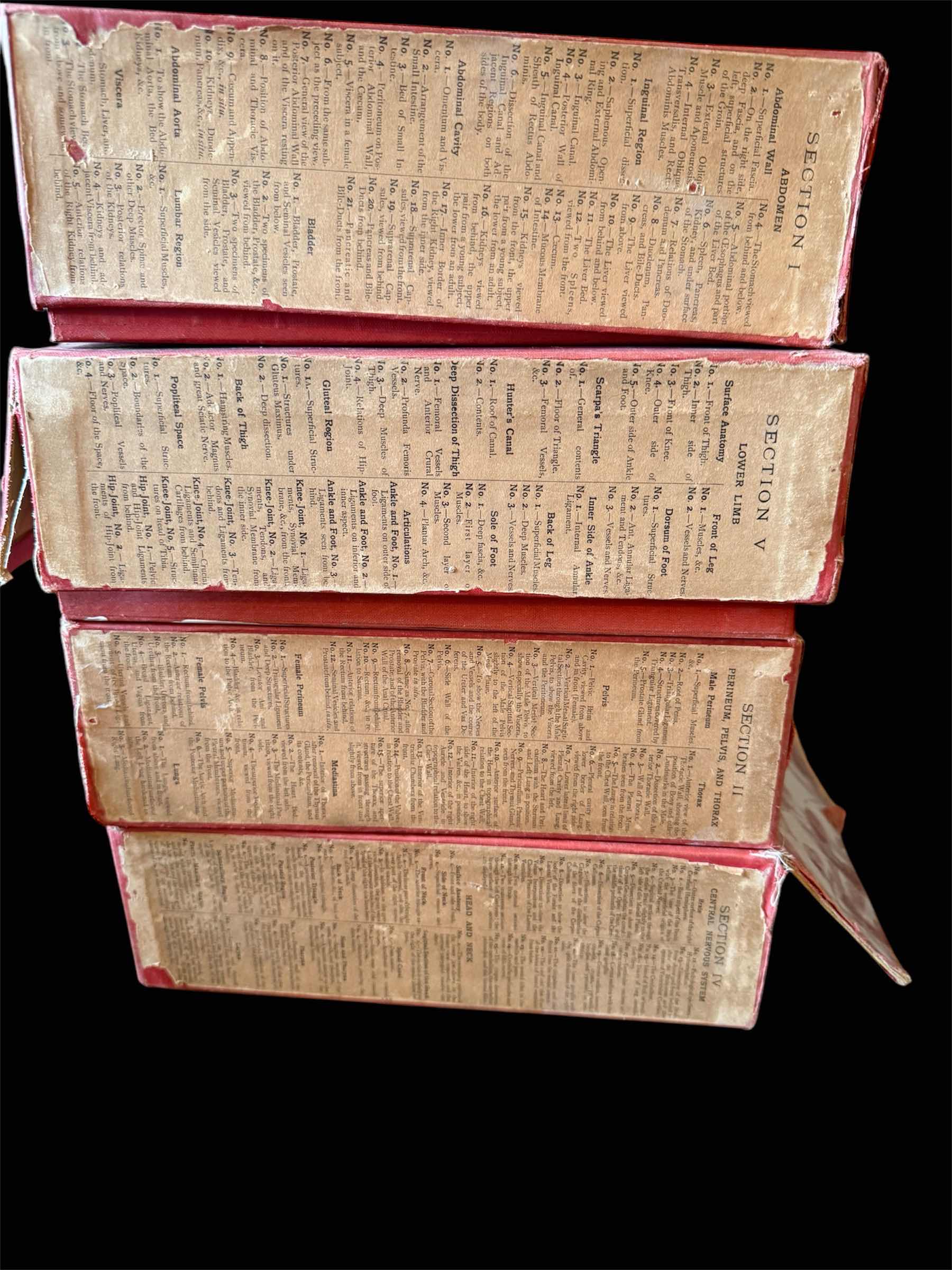 Photo 2 of 4 VOLUMES- RARE EDINBURGH UNIVERSITY STEREOSCOPIC ANATOMY