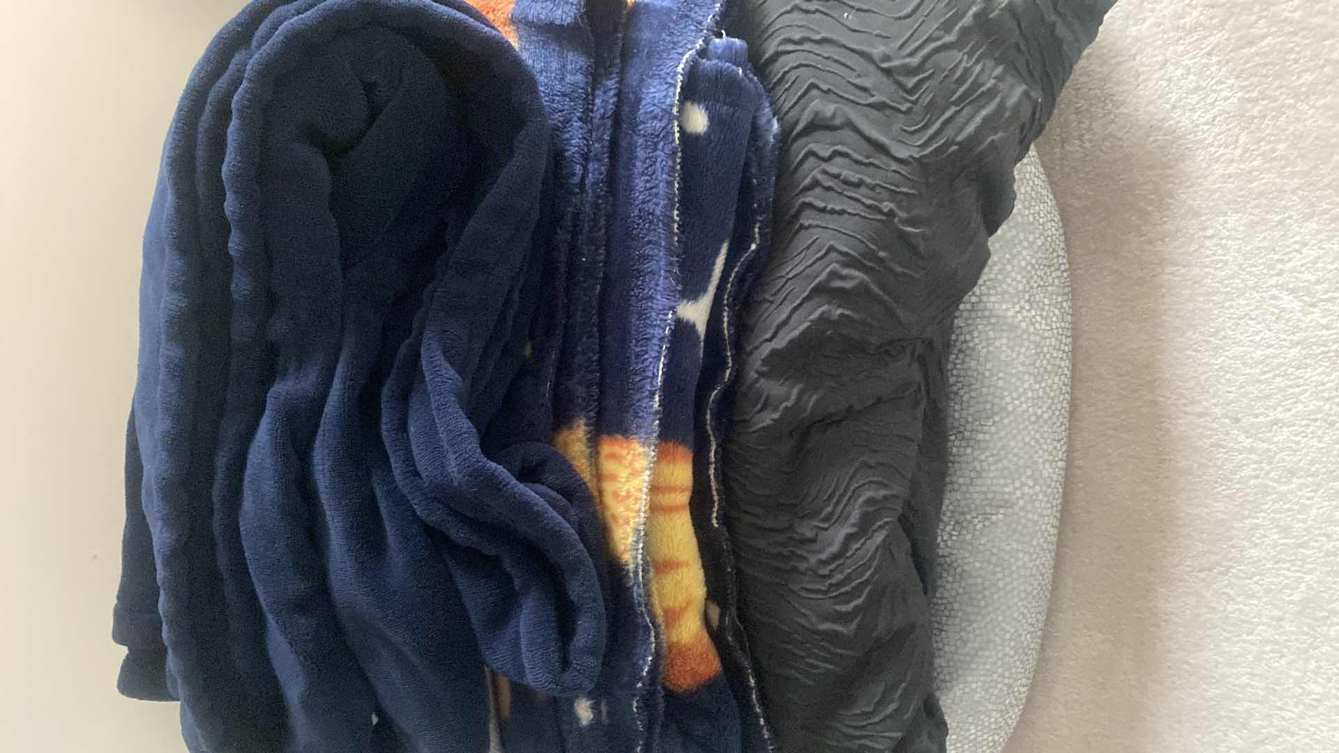 Photo 1 of CONTENTS UPSTAIRS HALL CLOSET-BLANKETS & BED PILLOWS