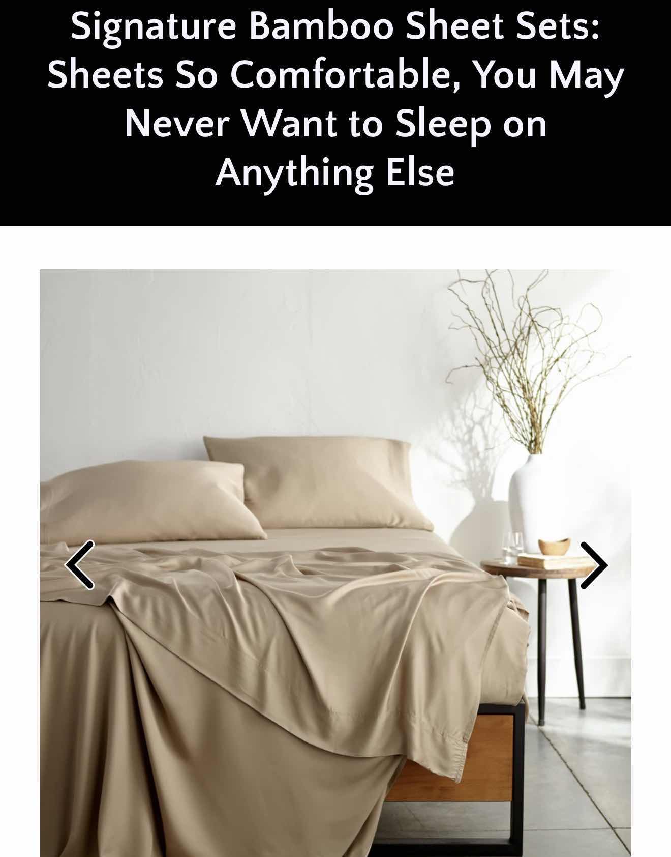 Photo 1 of BAMBOO IS BETTER SIGNATURE 100% BAMBOO QUEEN SHEET SET-TAUPE