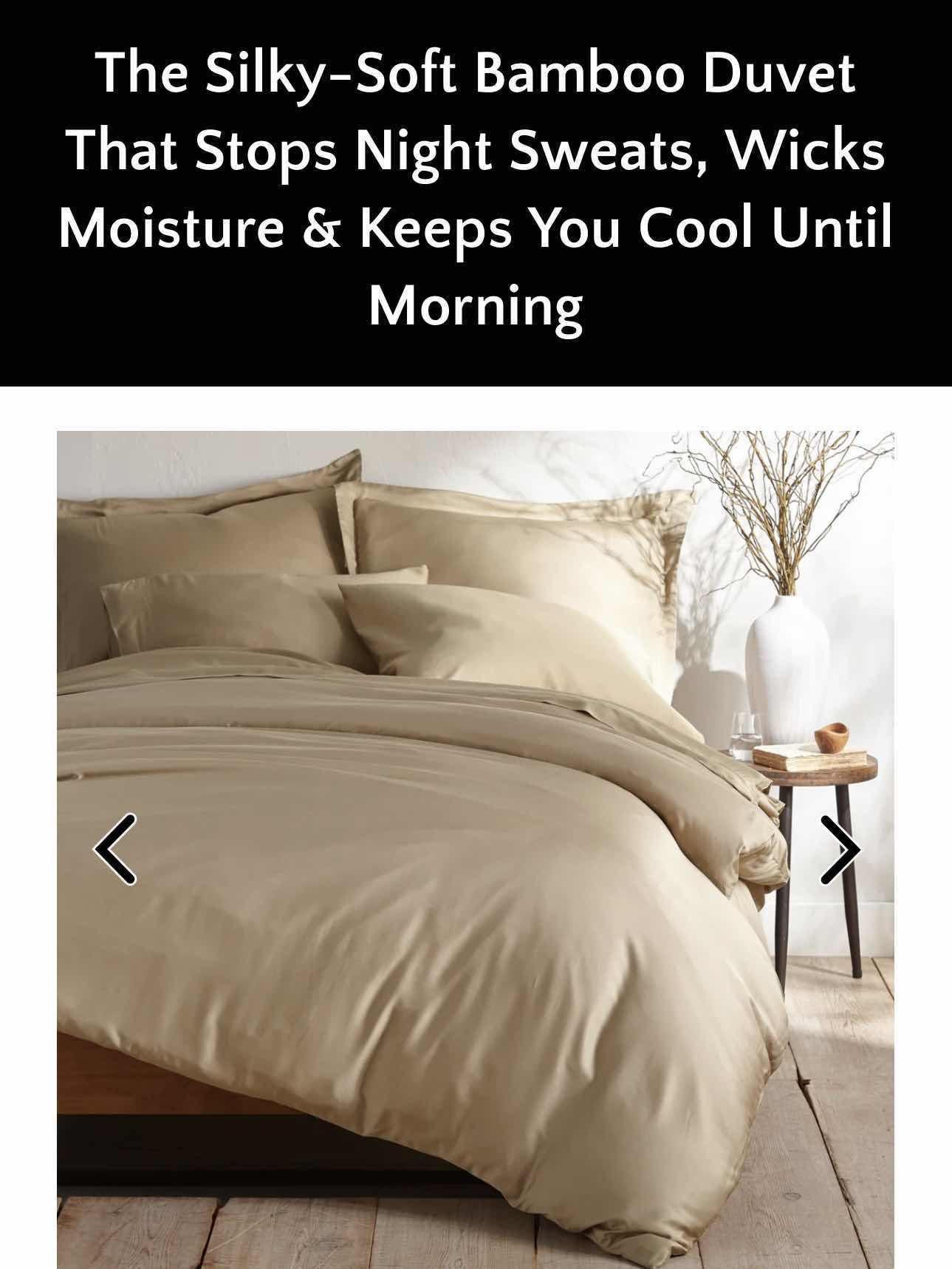 Photo 1 of BAMBOO IS BETTER BAMBOO DUVET COLLECTION FULL- QUEEN - 90” X 90” TAUPE