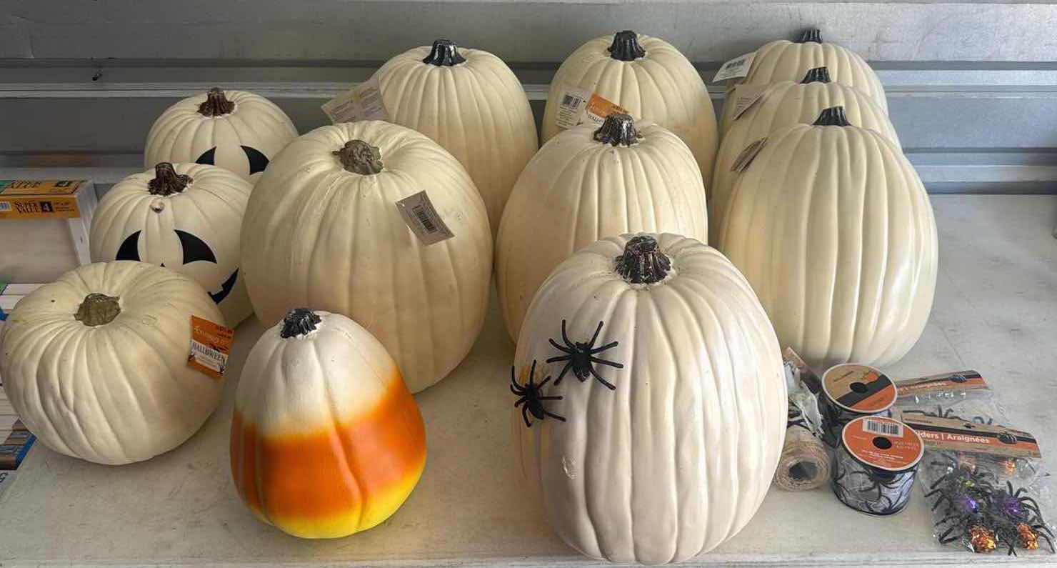 Photo 1 of 17- HALLOWEEN DECOR PUMPKINS/SPIDERS/RIBBON