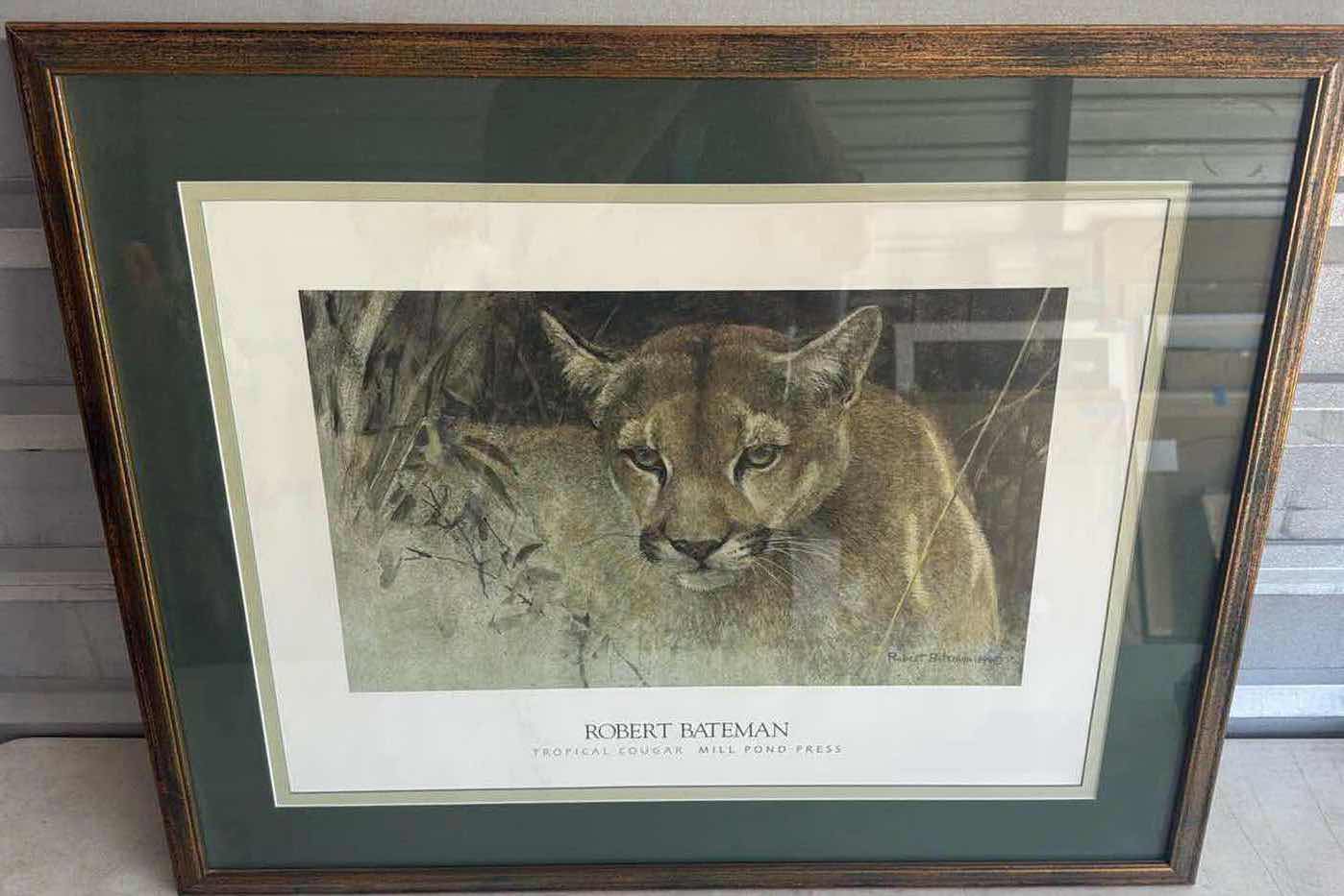 Photo 1 of WOODEN FRAMED TROPICAL COUGAR ART PRINT 32 ”X26”