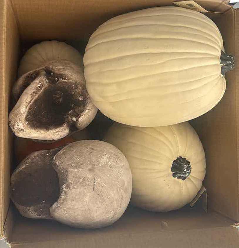 Photo 1 of CONTENTS OF BOX-HALLOWEEN PUMPKINS/SKULLS
