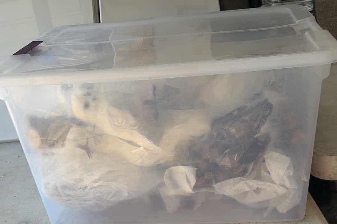 Photo 1 of CONTENTS OF BOX OWL STATUES/  DECRETIVE ORNAMENTS
