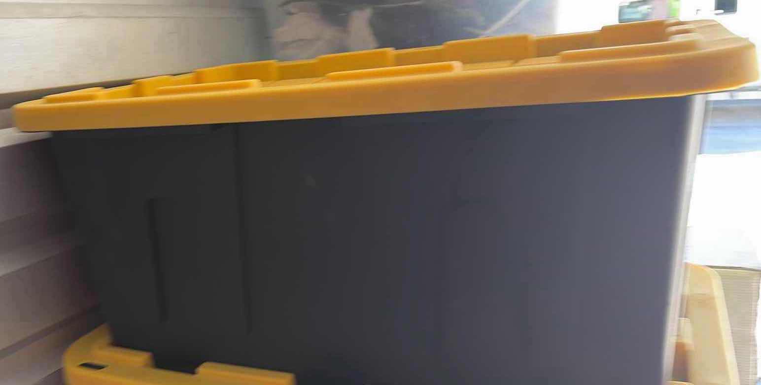 Photo 1 of CONTENTS OF TOTE- RELIGIOUS STATUES