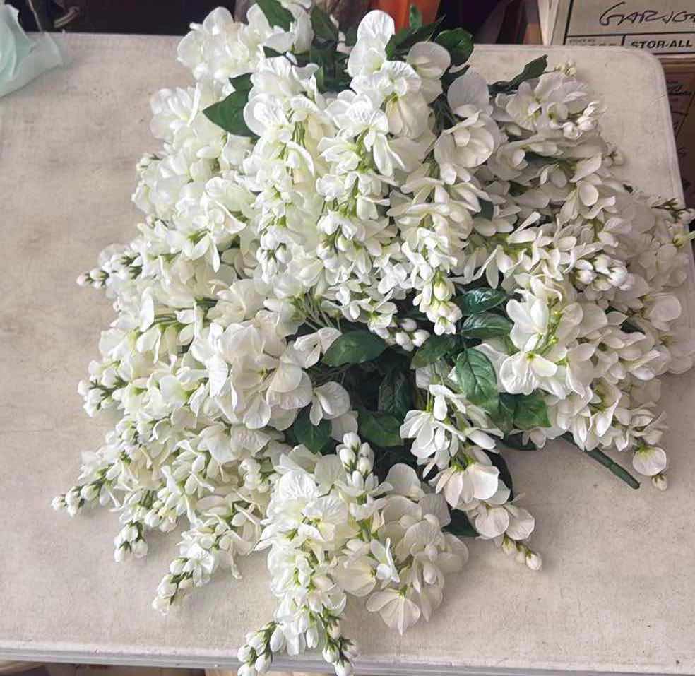 Photo 1 of CONTENTS OF BOX- WHITE WISTERIA BUSHES