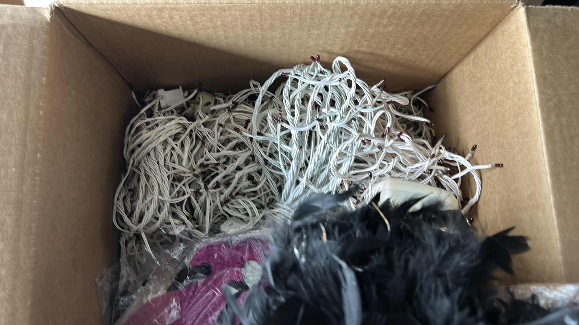 Photo 1 of BOX OF MARDI GRAS MASKS, BLACK AND SILVER BOAS AND TWINKLE LIGHTS