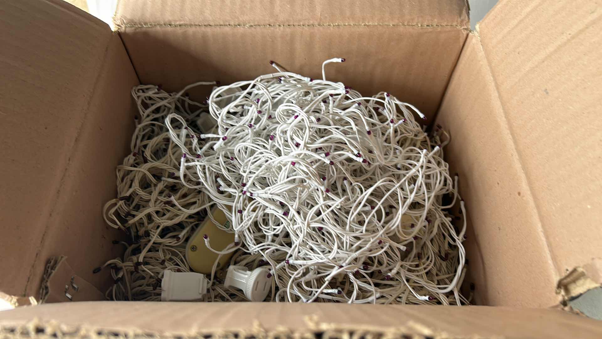 Photo 1 of BOX OF PURPLE RICE LIGHTS
