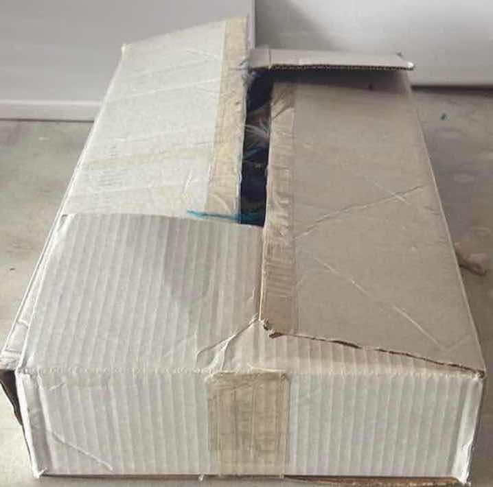 Photo 1 of CONTENTS OF BOX-MARDI GRAS