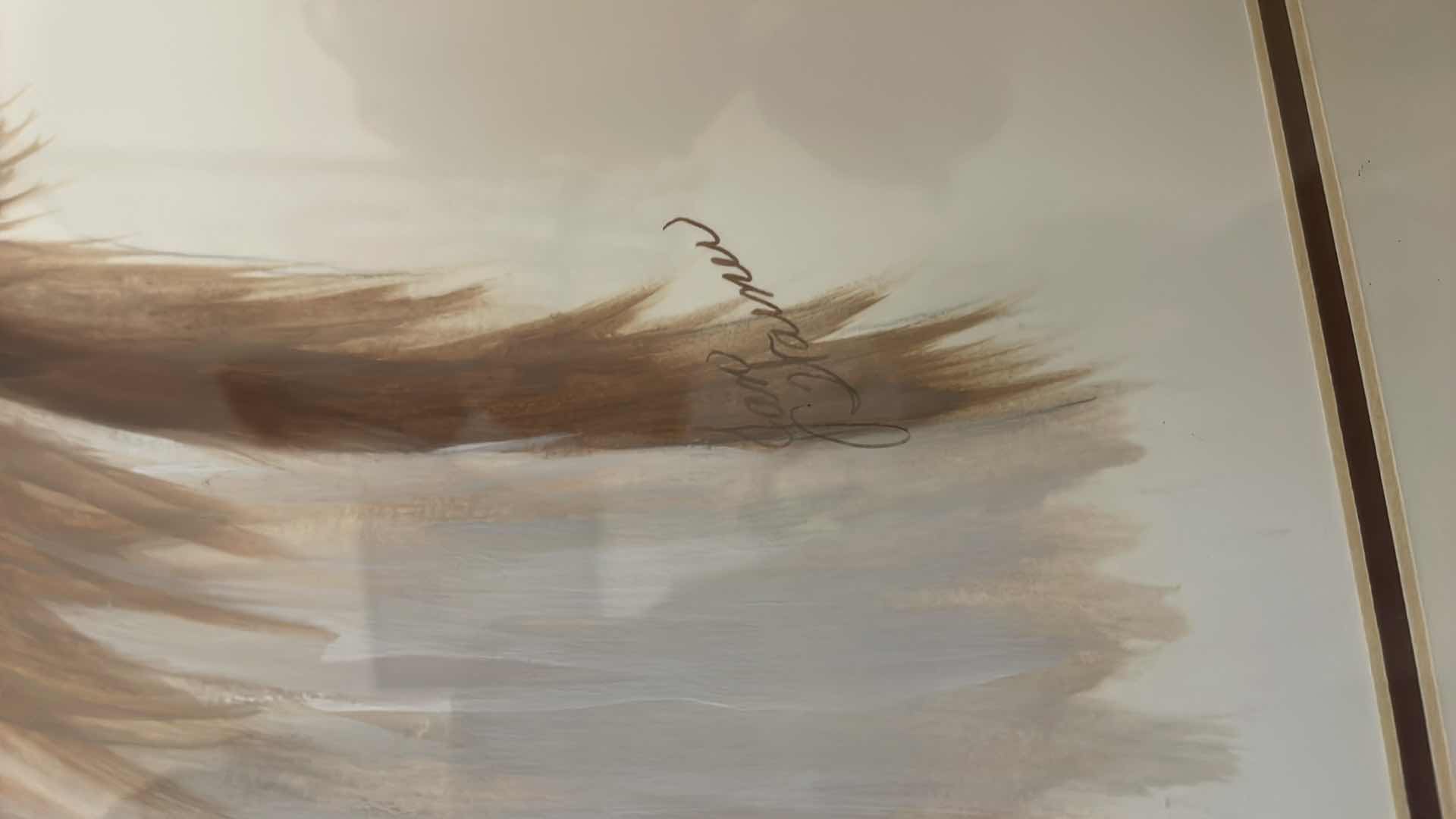 Photo 1 of OSTRICH HEAD ART 17”x21