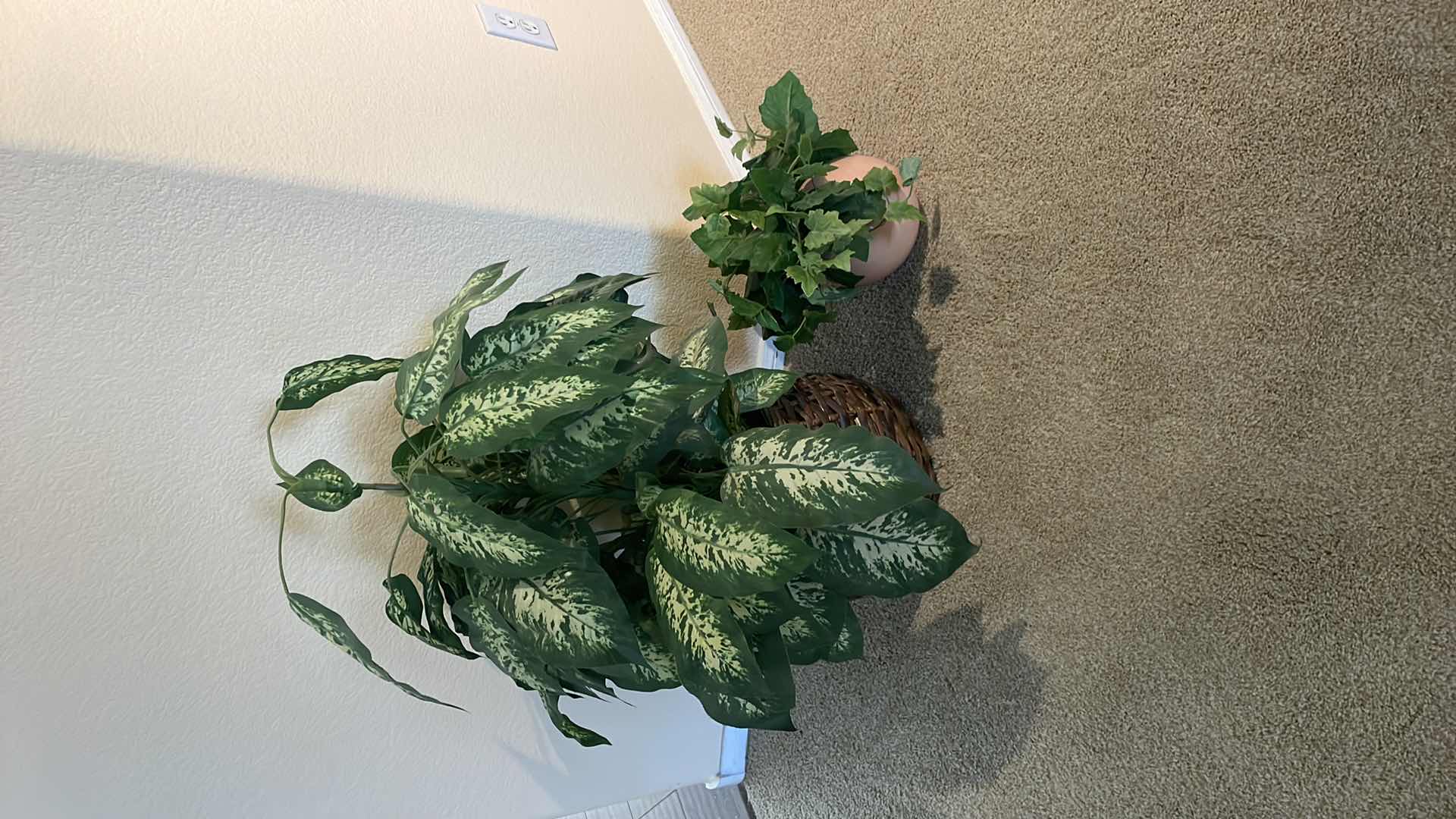 Photo 1 of FAUX PLANTS