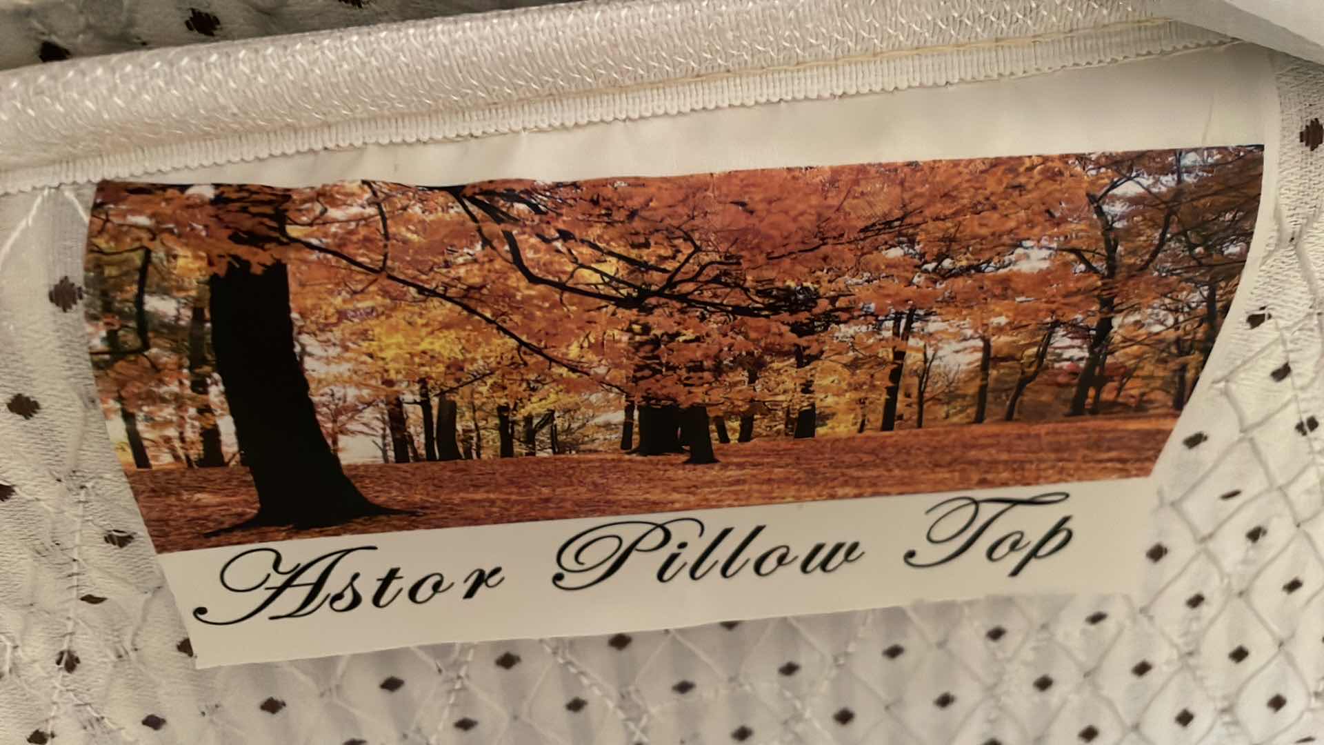 Photo 1 of ASTOR PILLOW TOP QUEEN MATTRESS AND FRAME ONLY SLEPT ON 3 TIMES  SPARE BEDROOM SET