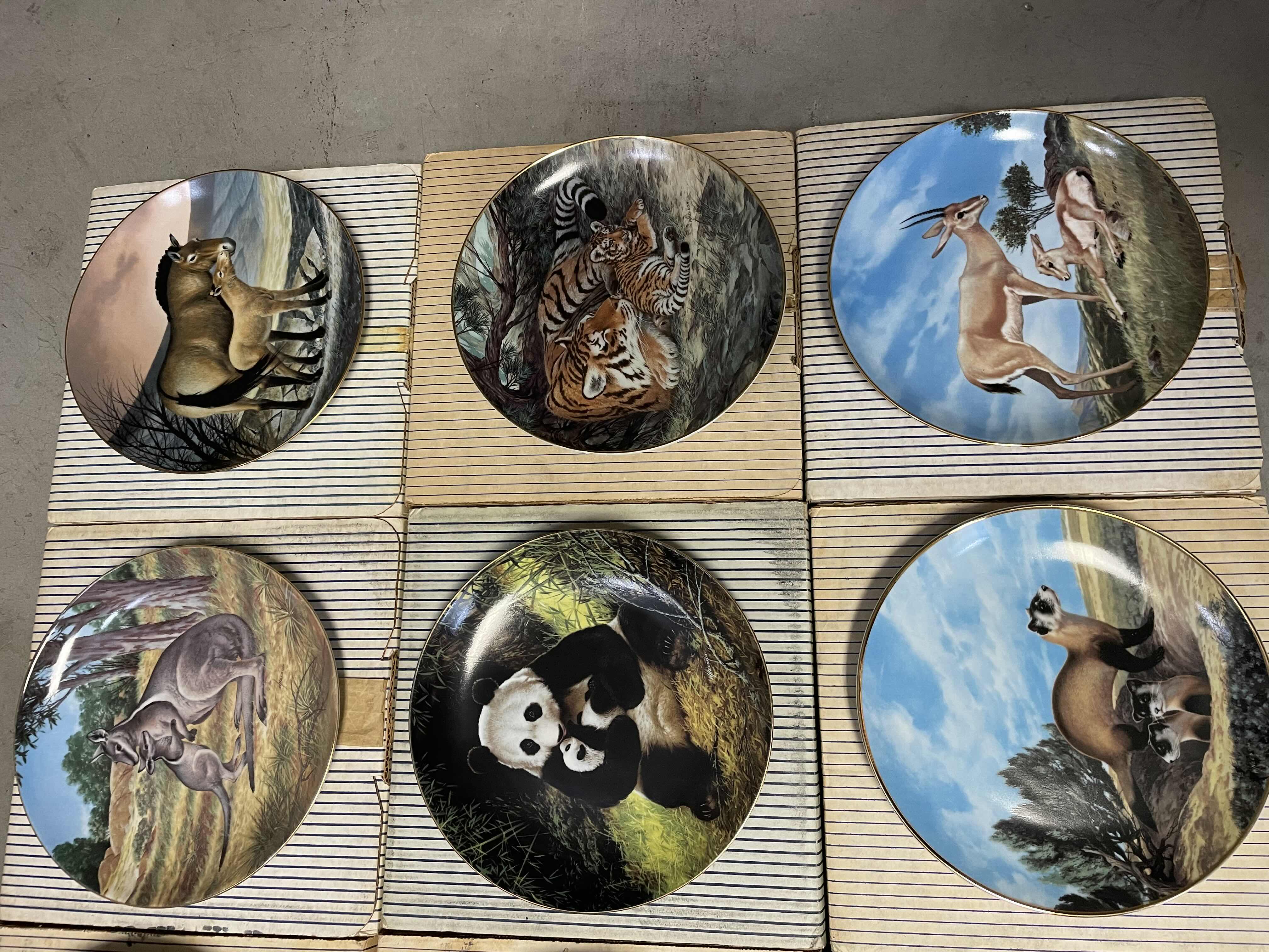 Photo 1 of VINTAGE “THE ENDANGERED SPECIES” ART PLATE COLLECTION “LAST OF THEIR KIND” BY WILL NELSON WITH COA