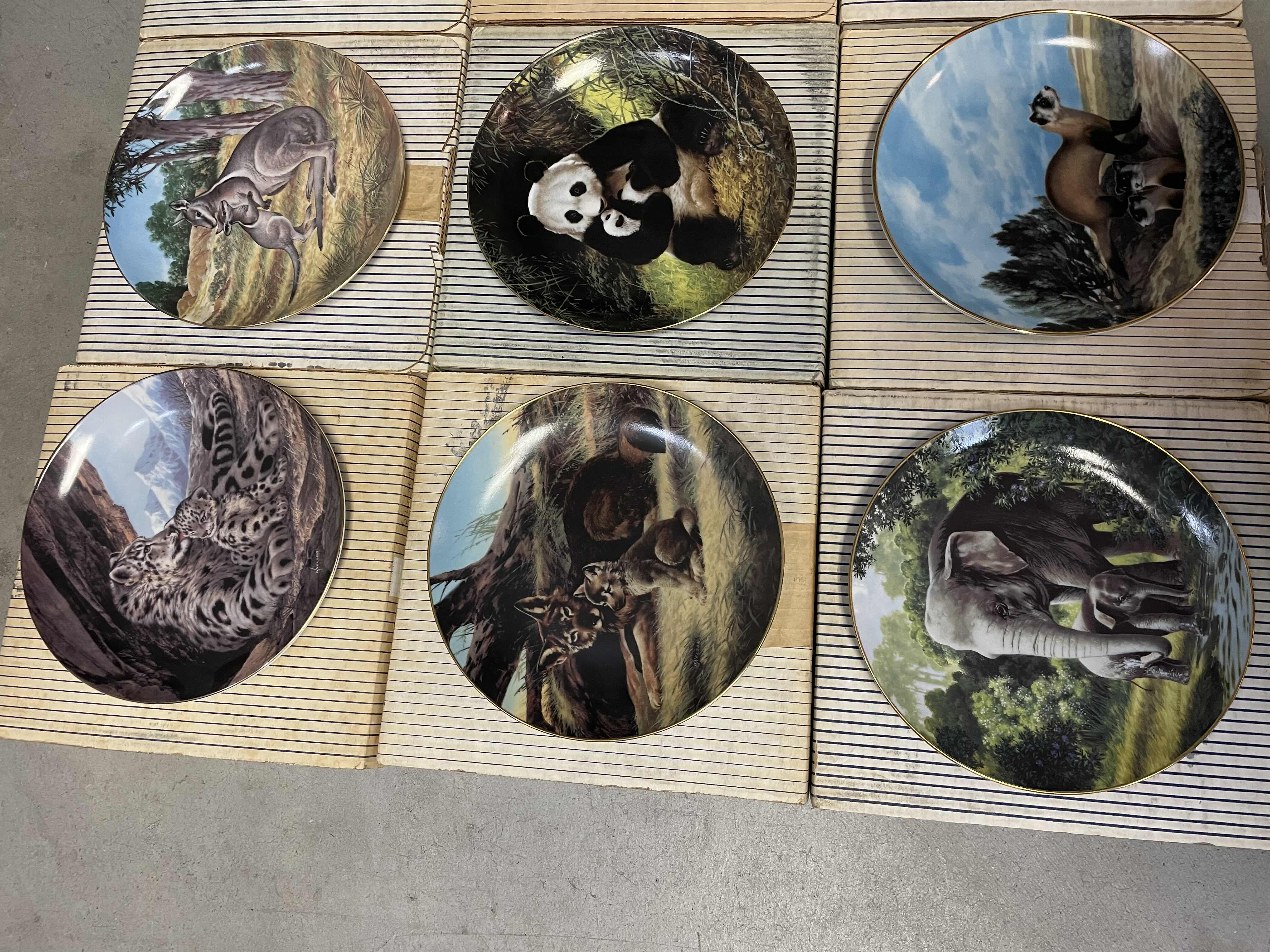 Photo 1 of VINTAGE “THE ENDANGERED SPECIES” ART PLATE COLLECTION “LAST OF THEIR KIND” BY WILL NELSON WITH COA