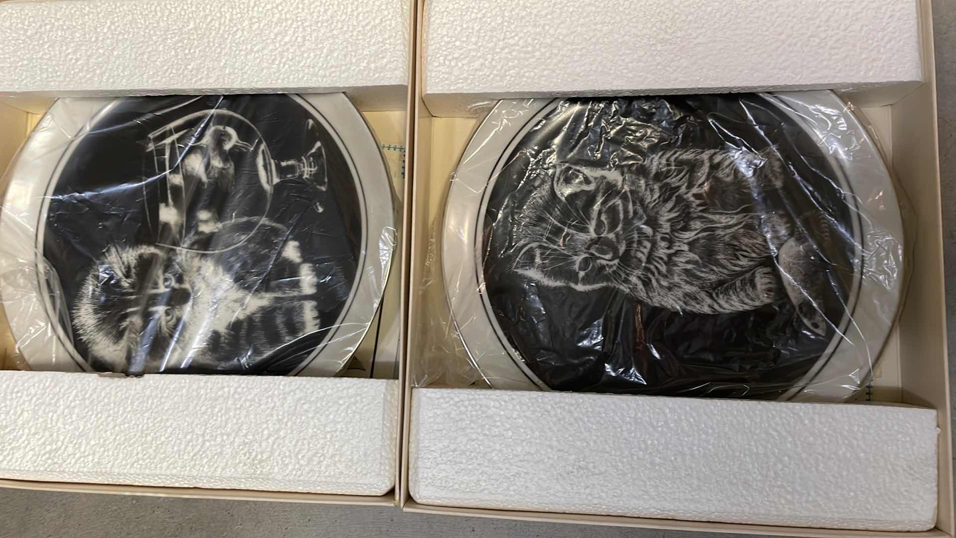 Photo 1 of KITTENS WORLD BY DROGUETT SET OF SIX(6) COLLECTORS PLATES VTG~ ART NUMBER 17309