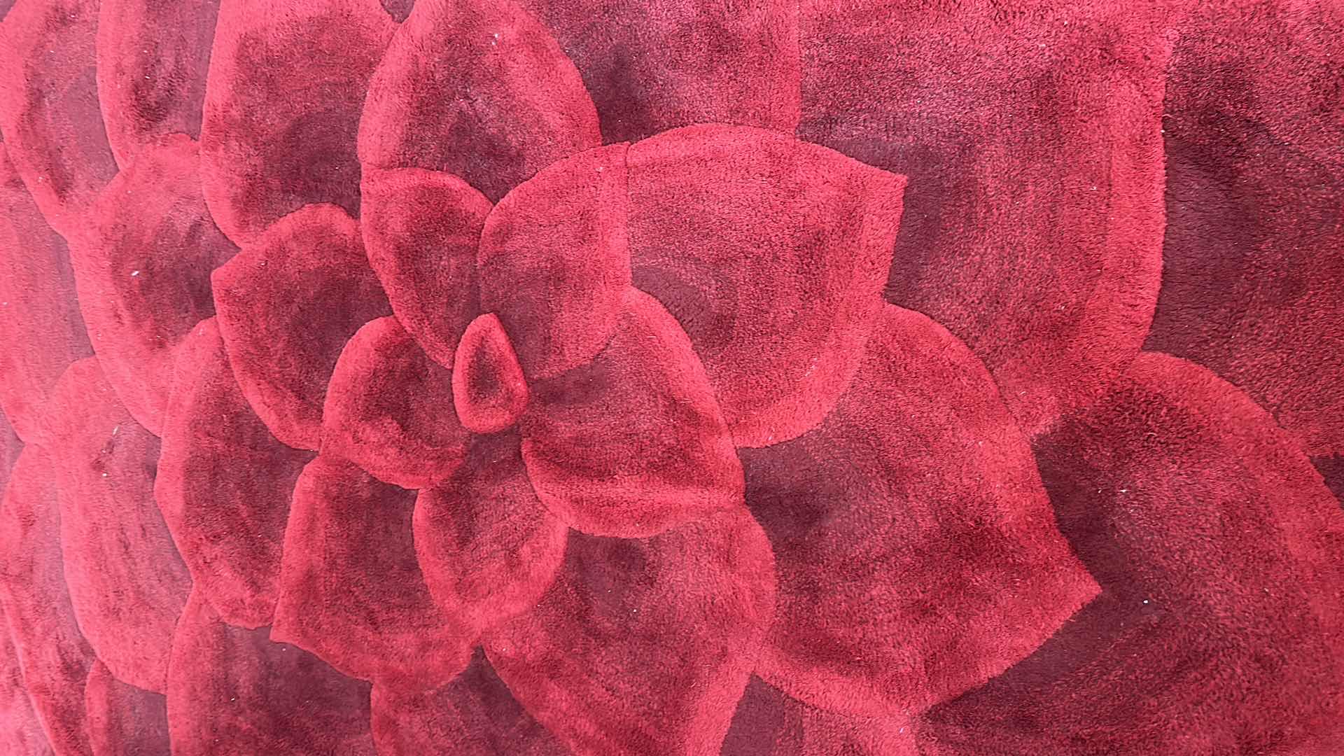 Photo 1 of Pier 1 IMPORTS RED ROSE AREA RUG 6FT X 9FT