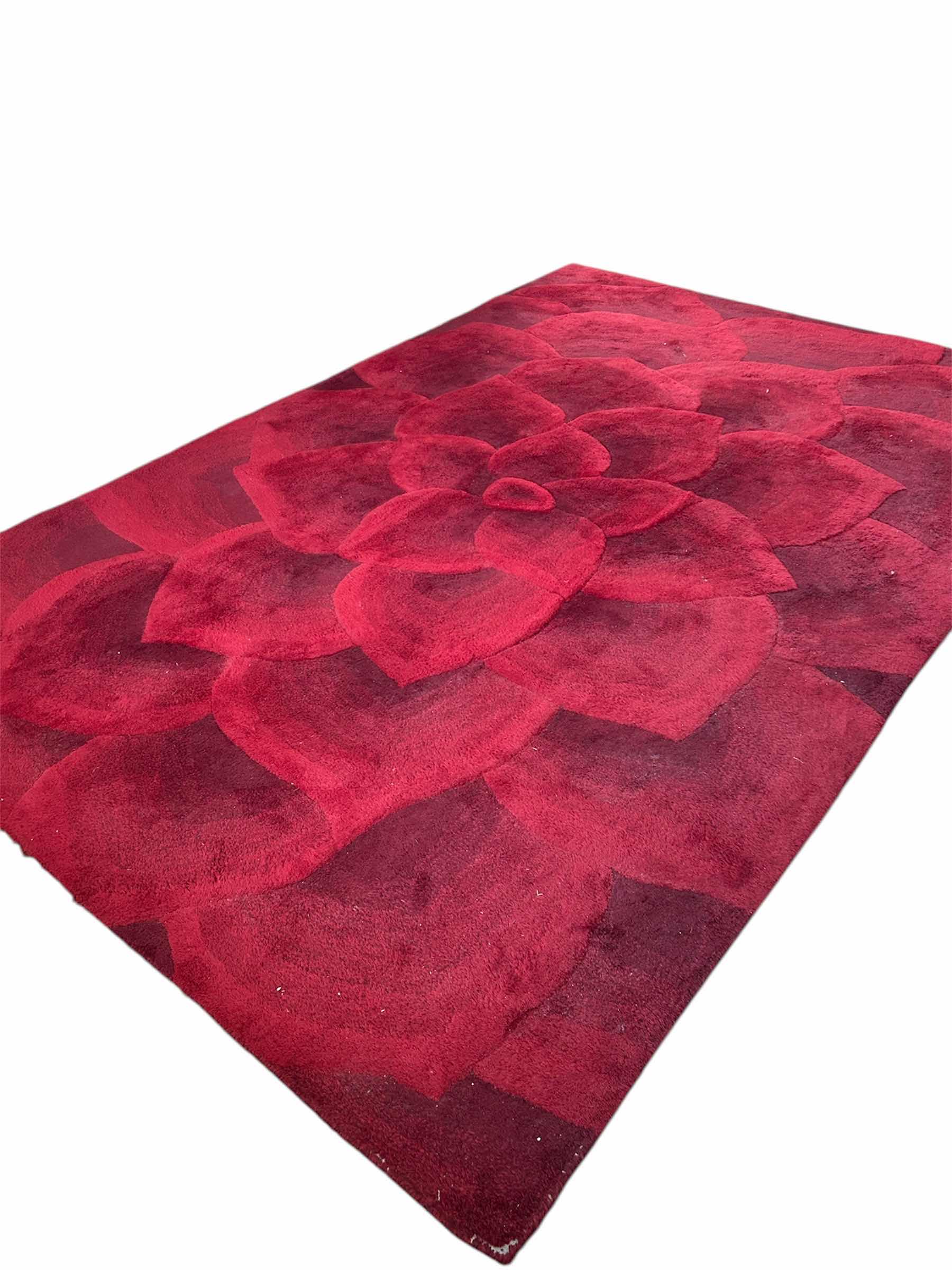 Photo 1 of Pier 1 IMPORTS RED ROSE AREA RUG 6FT X 9FT