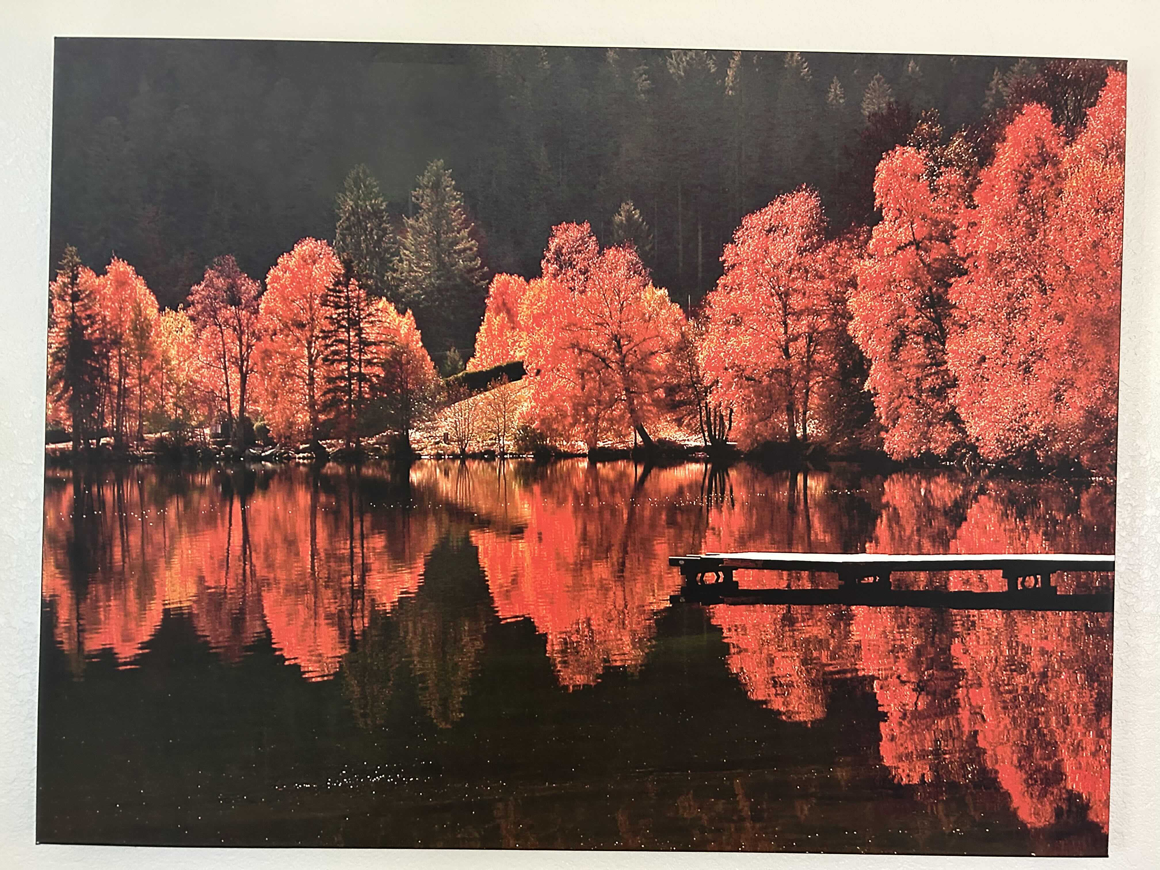 Photo 1 of PHOTOGRAPH “TREES VS TREES” BY PHILIPPE SAINTE- LAUDY 47” X 36”
SCONCES SOLD SEPARATELY