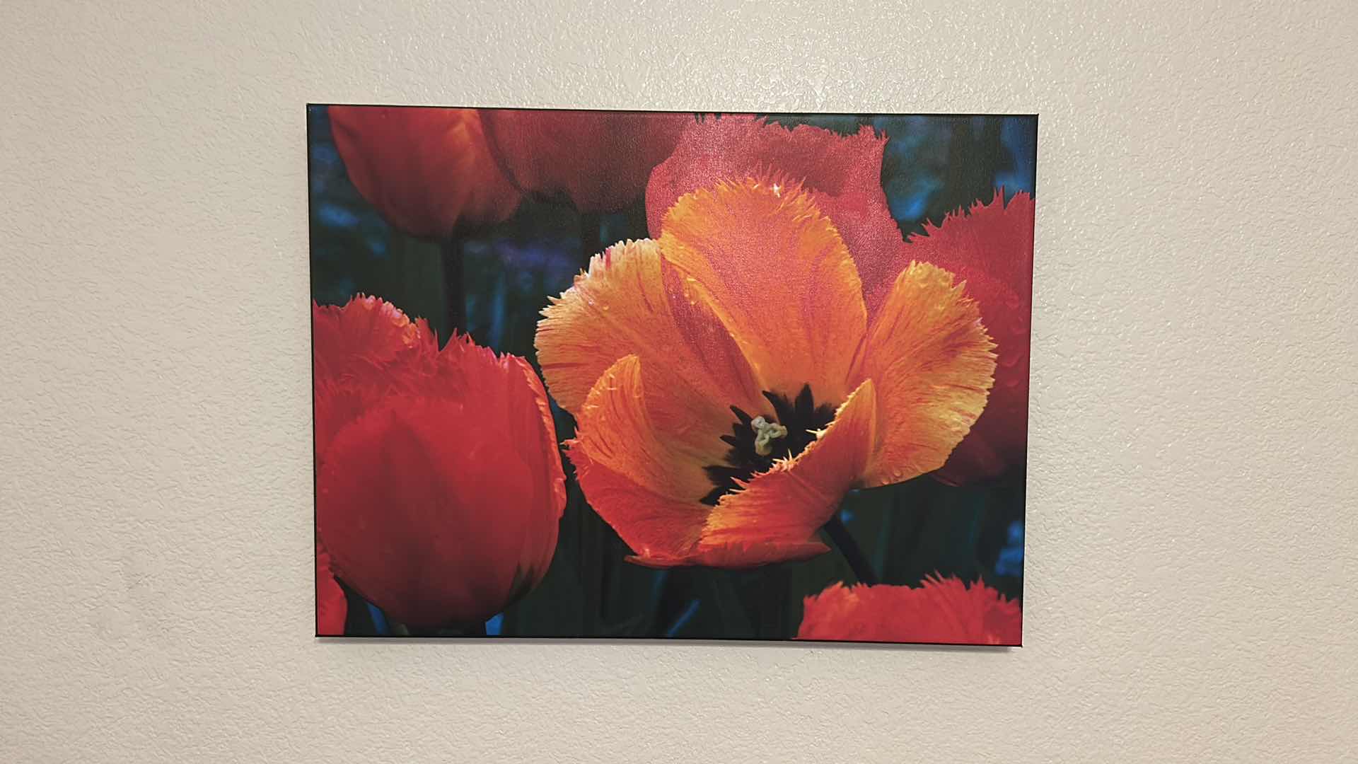Photo 2 of 2-RED POPPY OVER CANVAS 21” X 21” 24” X 18”