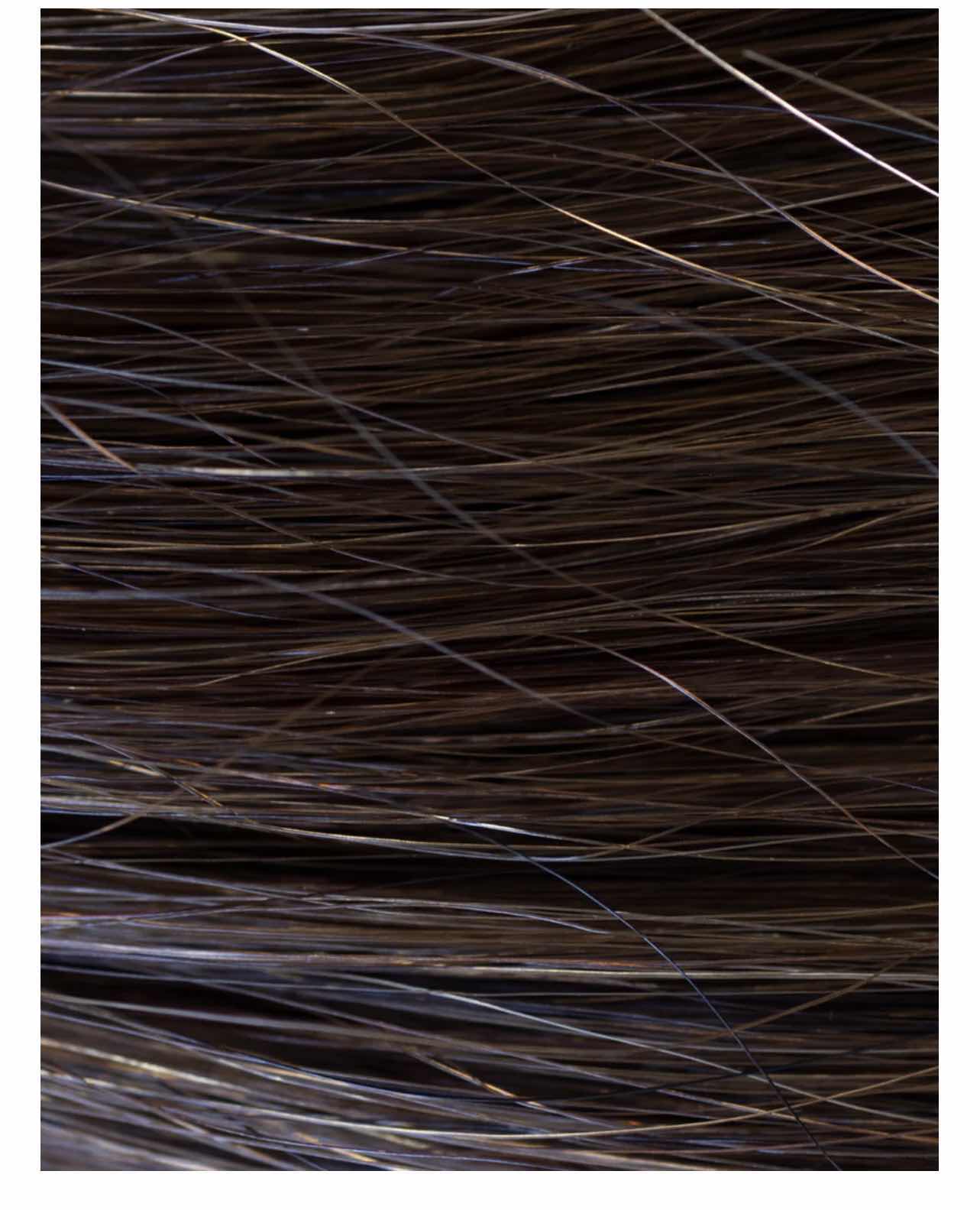 Photo 3 of CHRISTIAN REMY  KENZA 22” 240G HUMAN HAIR LACE WEFT CLIP-IN-EXTENSIONS-COLOR "ESPRESSO BROWN “
