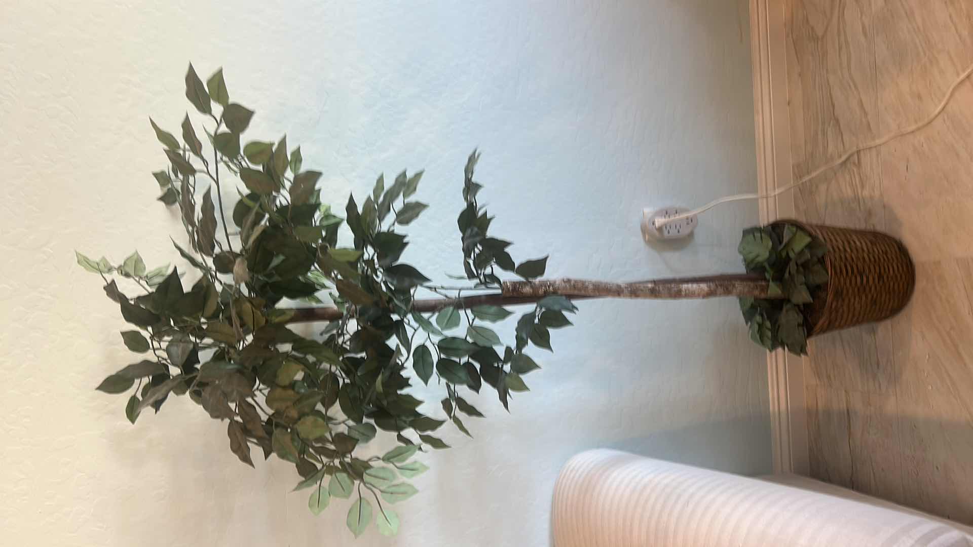 Photo 1 of 2 FAUX TREES, TALLEST H7’