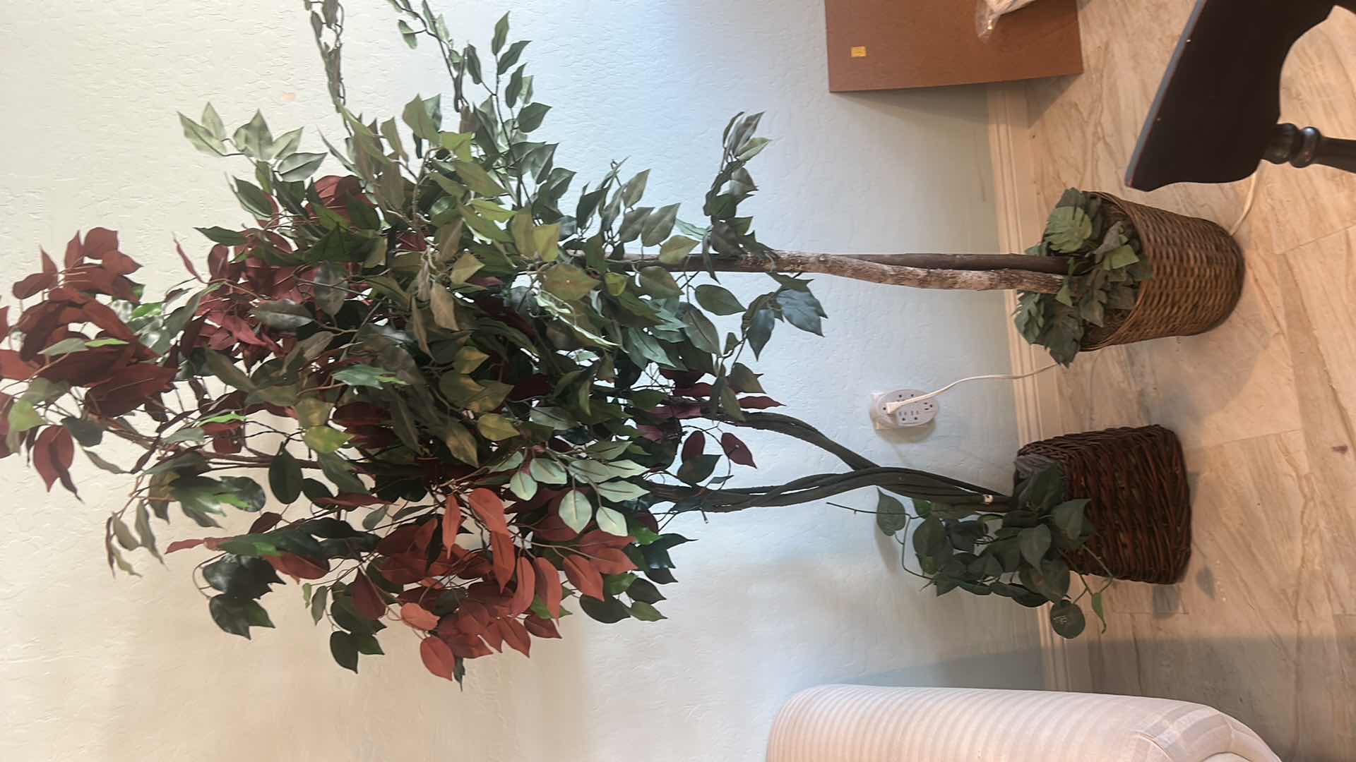 Photo 1 of 2 FAUX TREES, TALLEST H7’