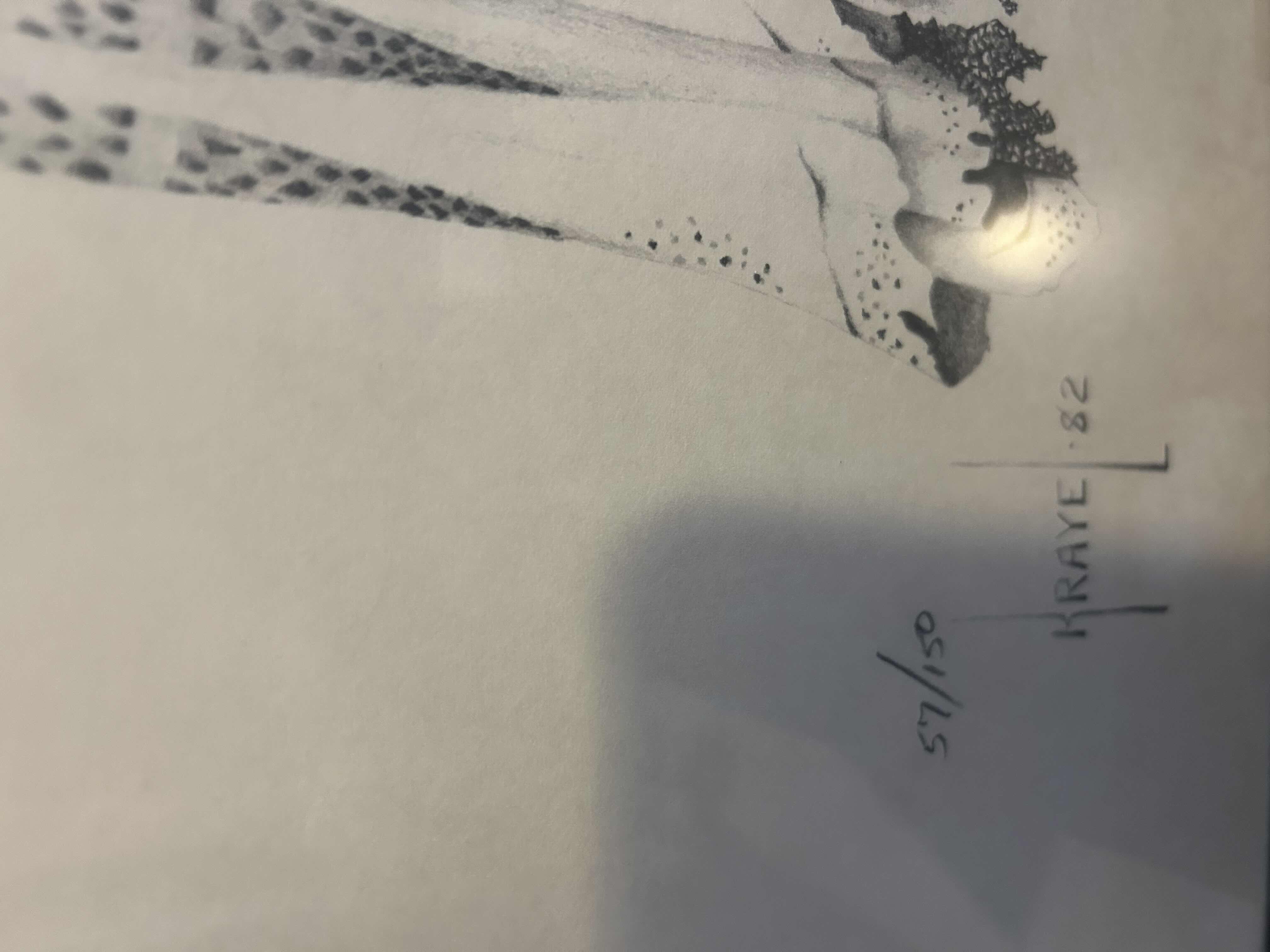 Photo 1 of BLACK FRAMED DISTINCTIVE GRAPHITE DRAWING OF BARBRA STREISAND ARTIST K LARSON 22" X 29"