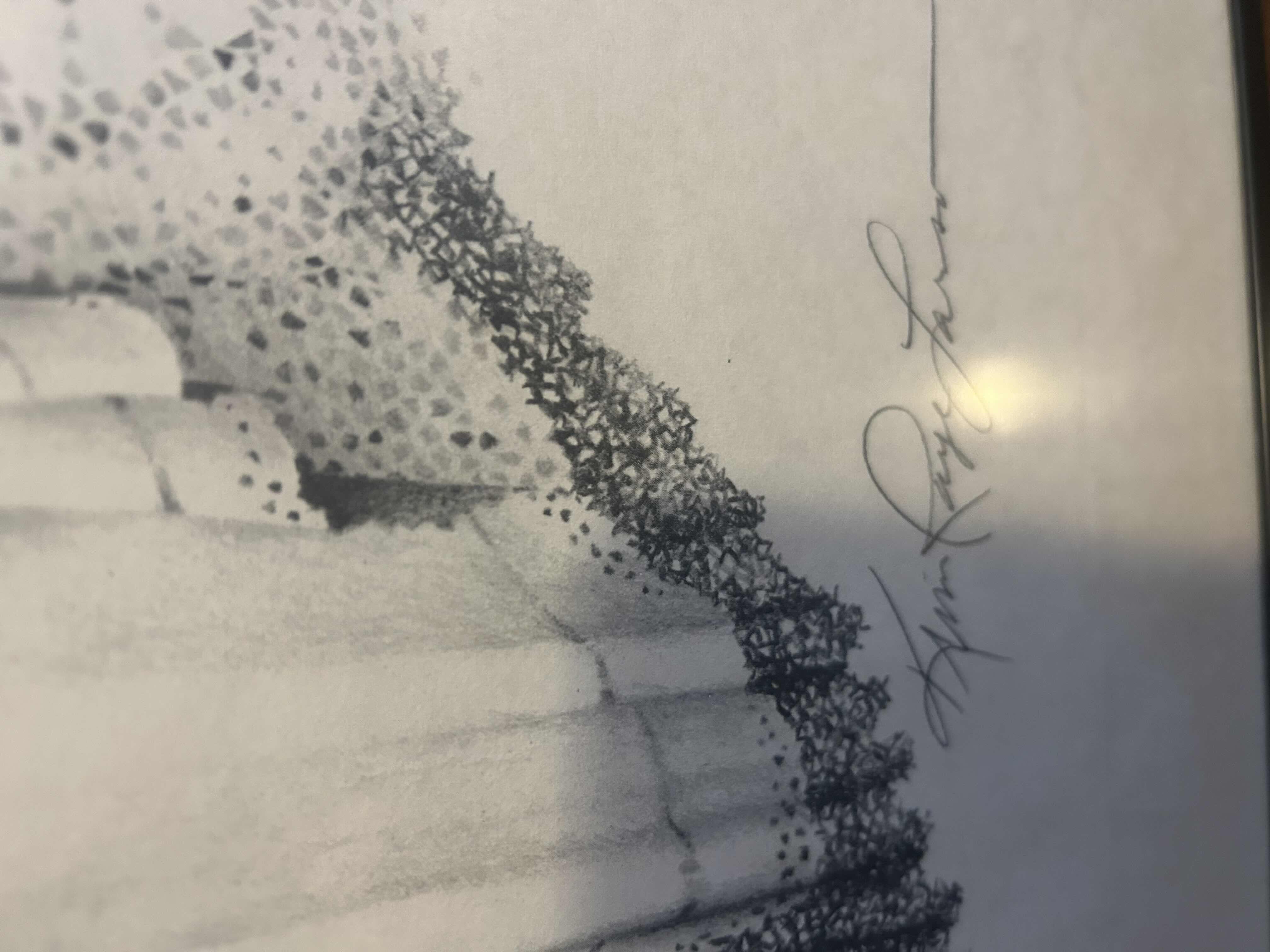 Photo 1 of BLACK FRAMED DISTINCTIVE GRAPHITE DRAWING OF BARBRA STREISAND ARTIST K LARSON 22" X 29"