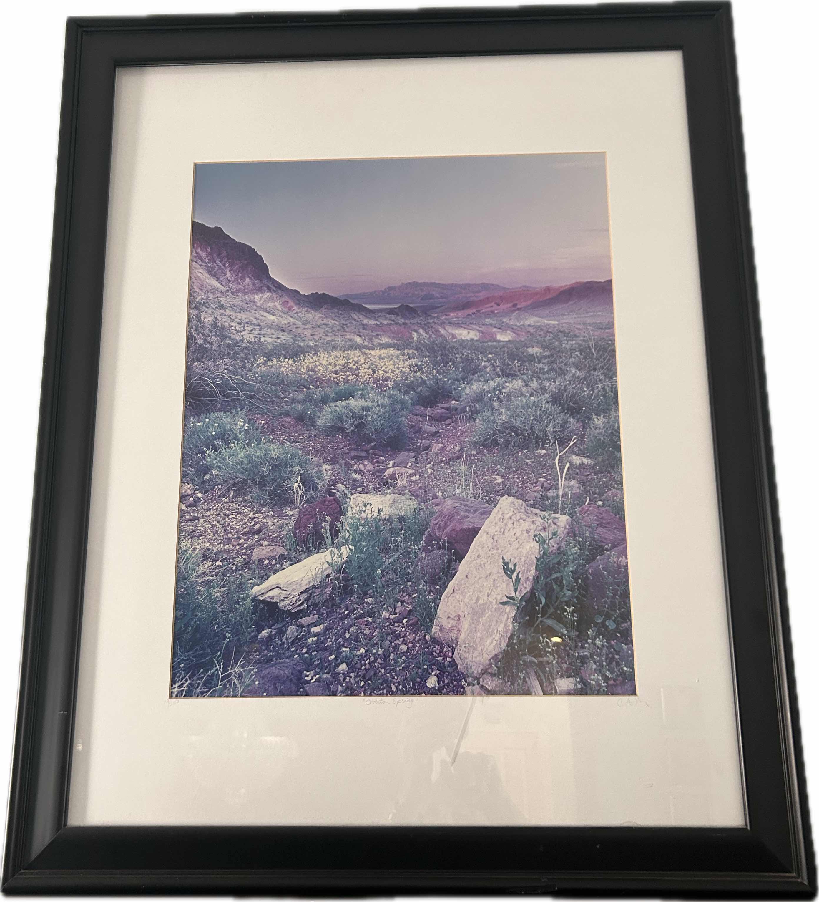 Photo 1 of BLACK FRAMED " OVERTON SPRING " SERENE DESERT LANDSCAPE 25" X 31"
