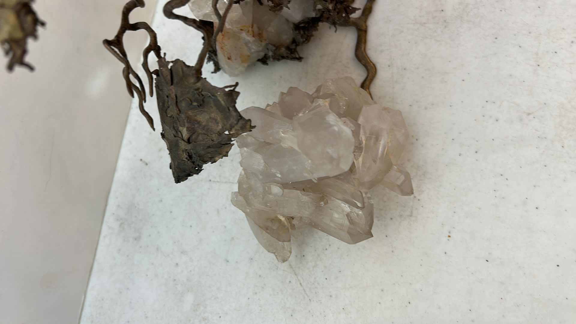 Photo 1 of CORAL, CRYSTAL GEODES AND MORE (AS IS)