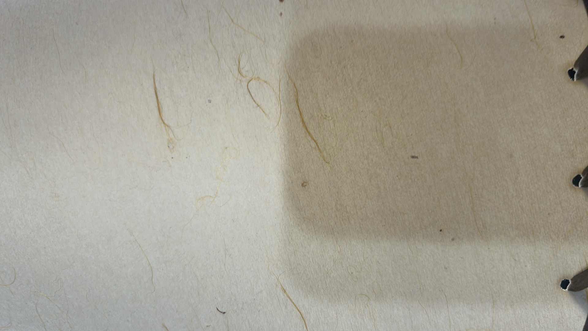 Photo 1 of SOUTHWESTERN TABLE LAMP W SHADE H 32"