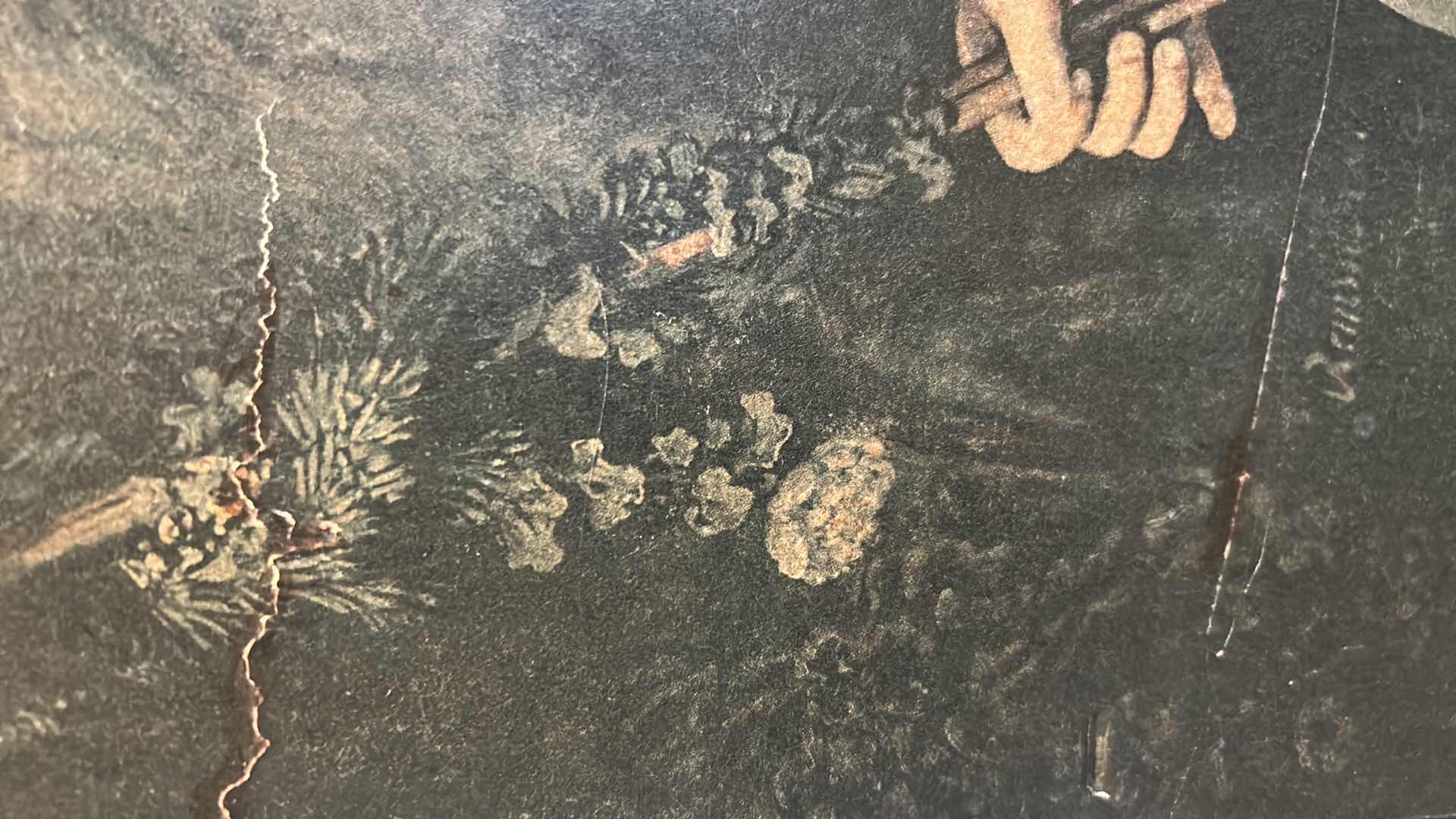 Photo 1 of "FLORA"  BY REMBRANDT ON WOOD 17" X 20" SOME DAMAGE SHOWN