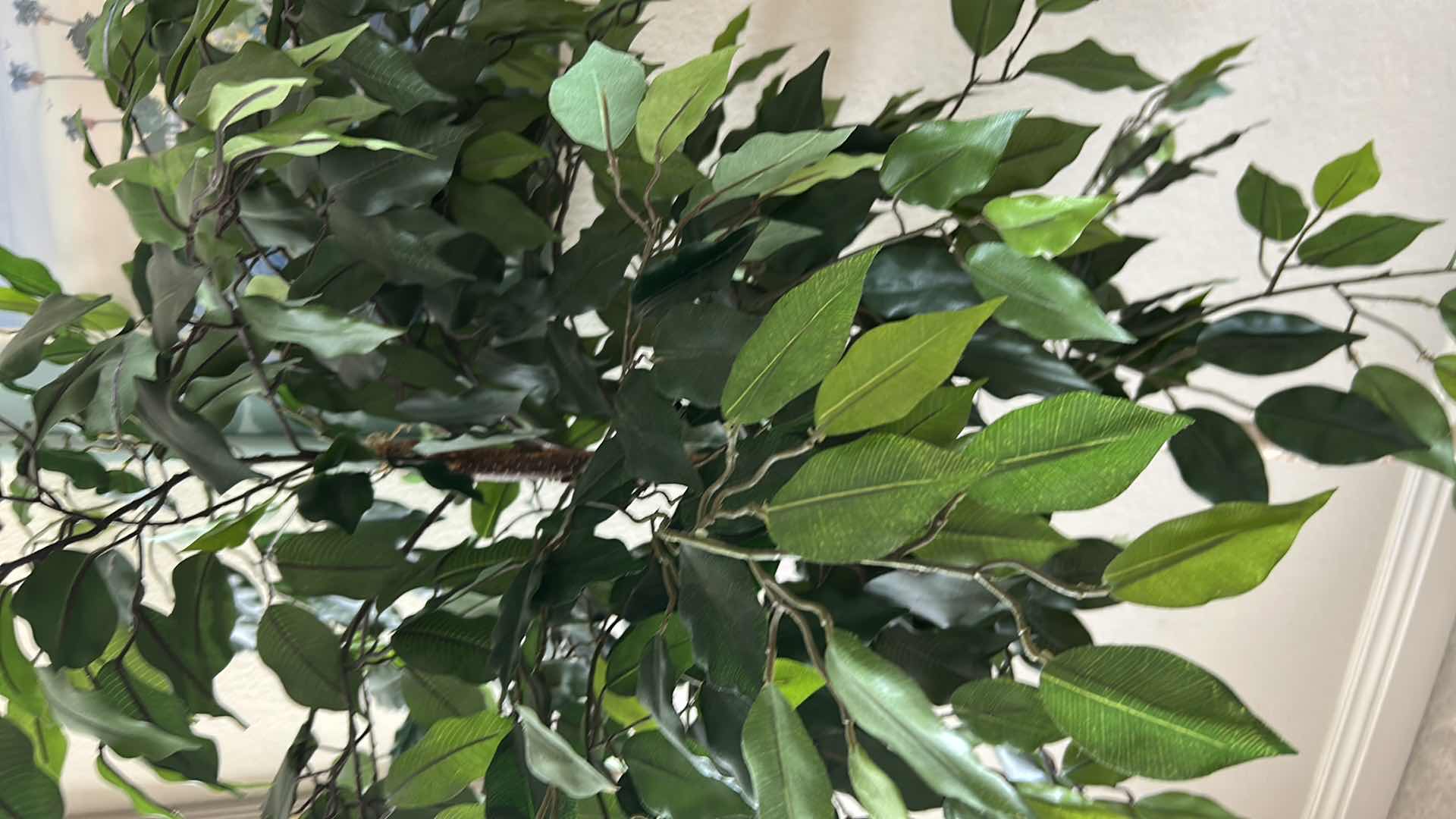 Photo 1 of FAUX FICUS TREE IN RATAN POT H 62"