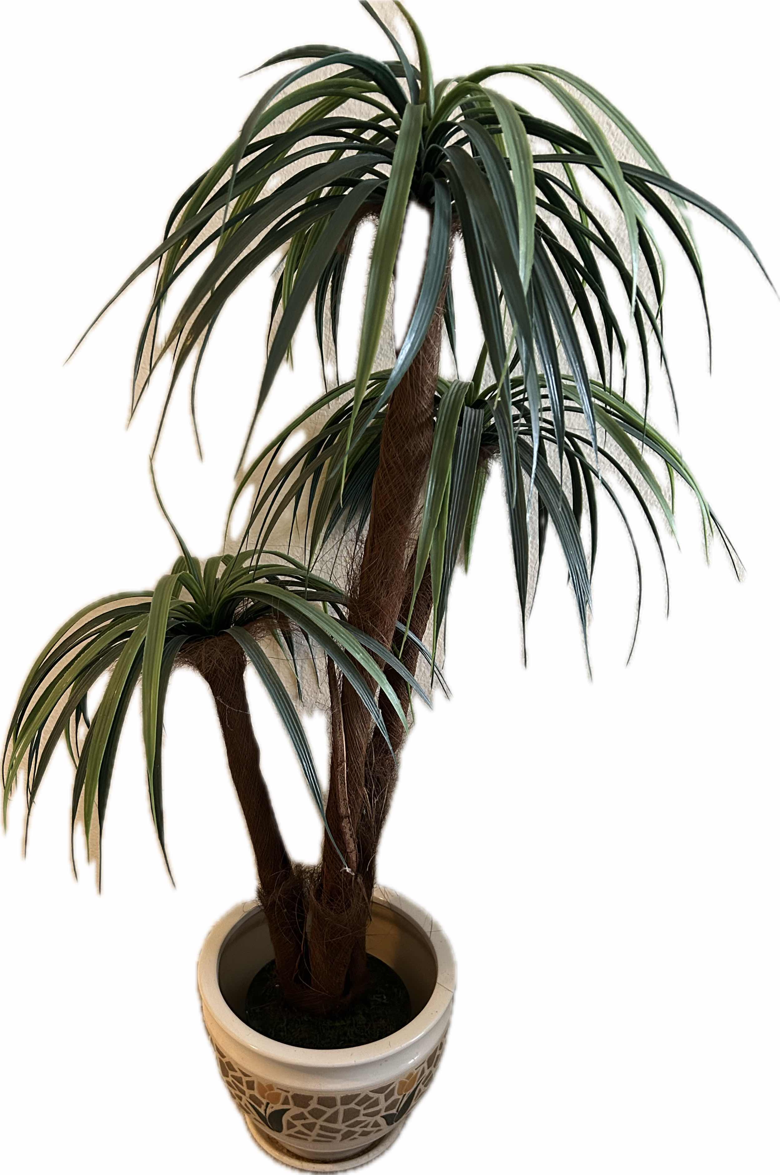 Photo 1 of FAUX MADAGASCAR TREE IN CERAMIC POT  H 49"