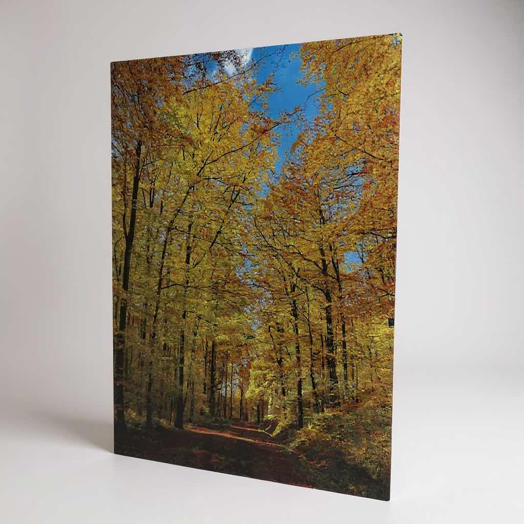 Photo 1 of ACRYLIC GLASS PRINT "WAY TO FALL" 18" X 24"