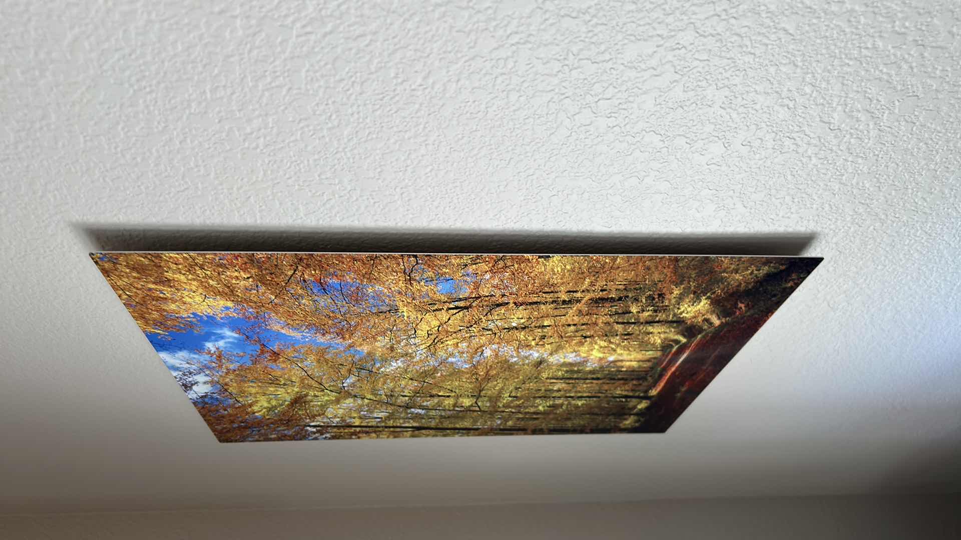 Photo 1 of ACRYLIC GLASS PRINT "WAY TO FALL" 18" X 24"